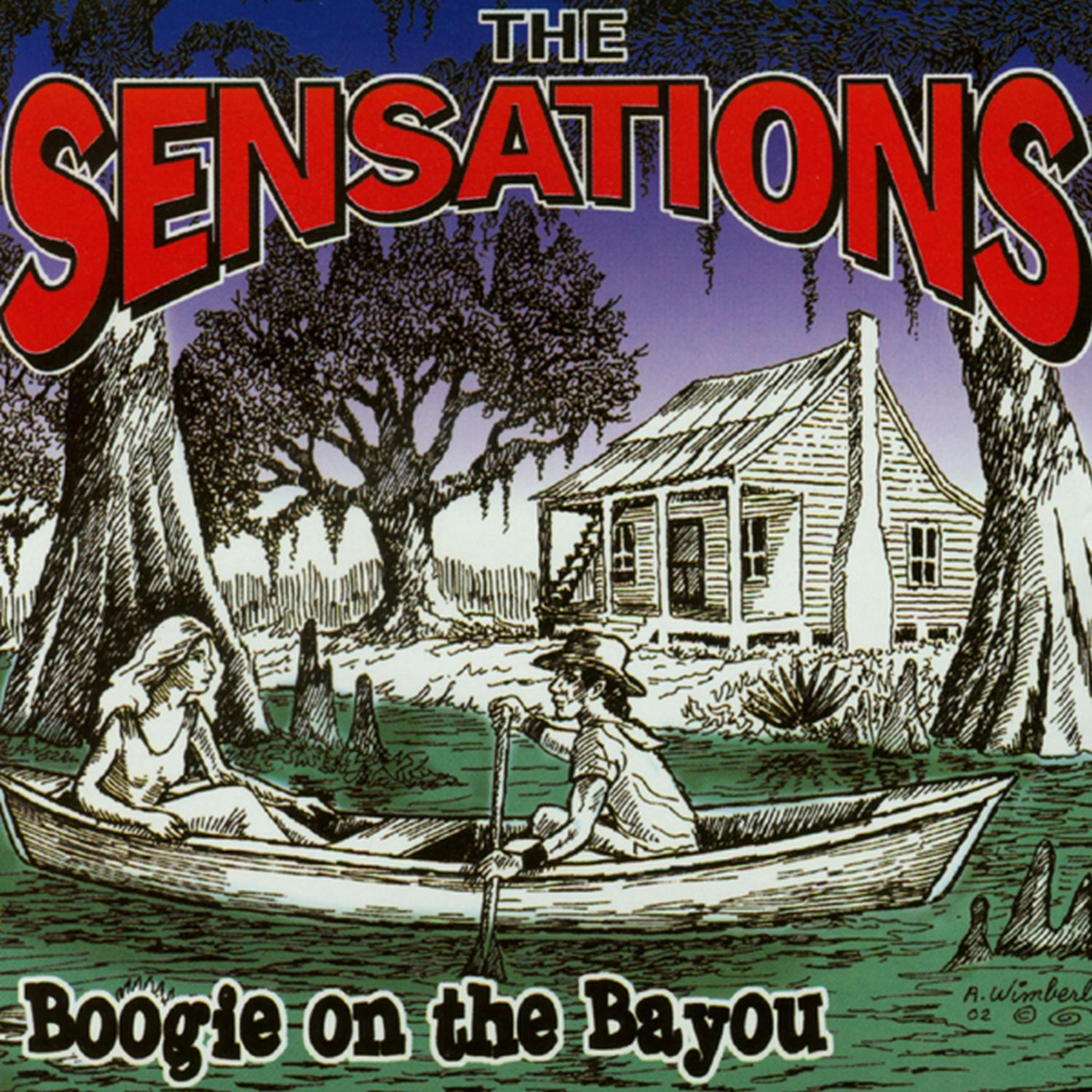 Постер альбома Boogie on the Bayou