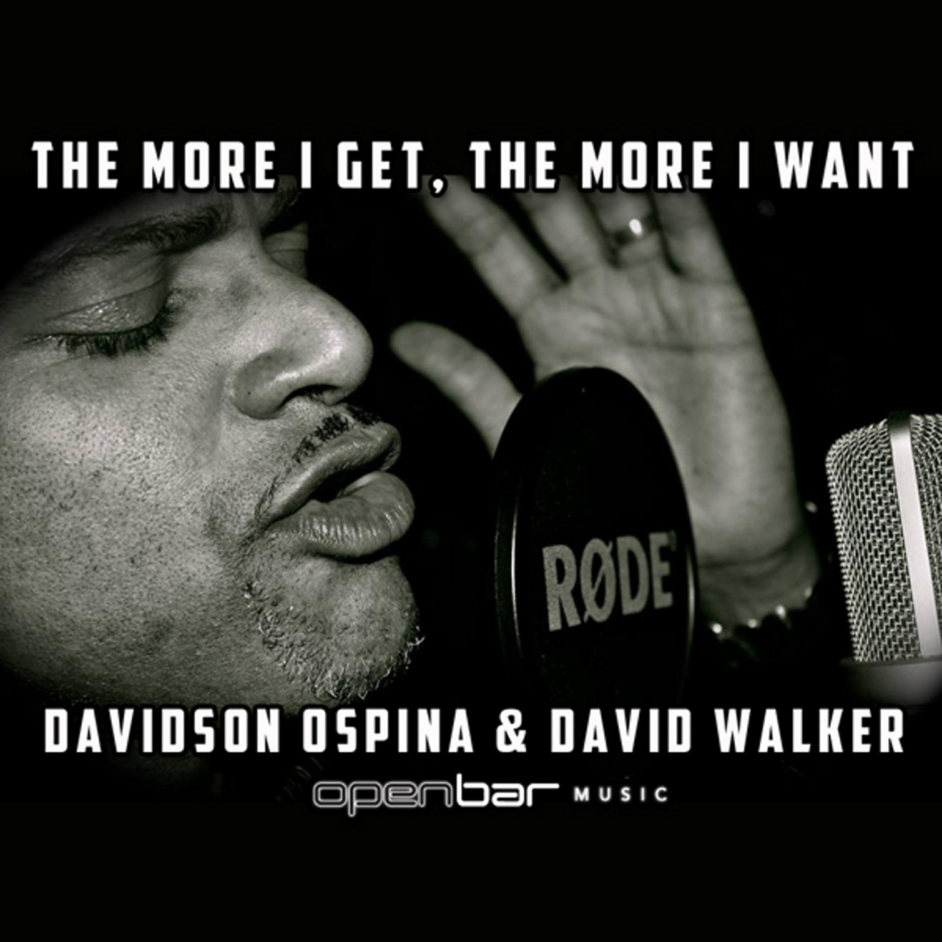David Walker - The More I Get the More I Want (Norty Cotto DJ Tool Remix)