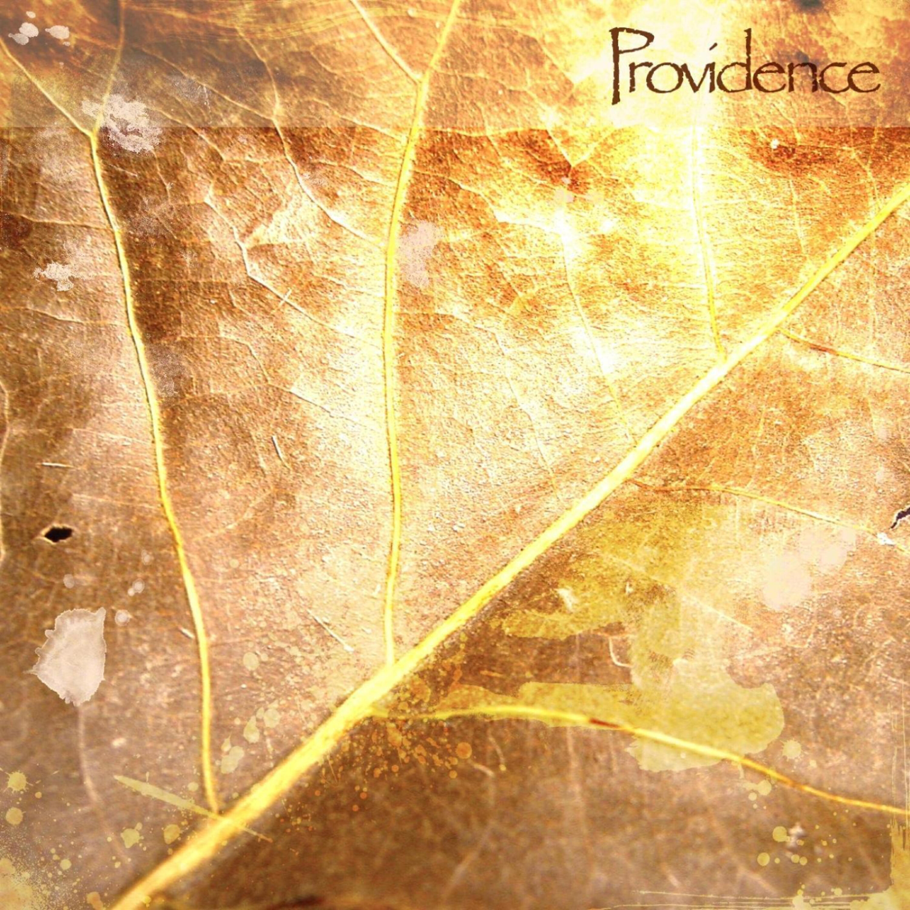Darshan Ambient - Providence