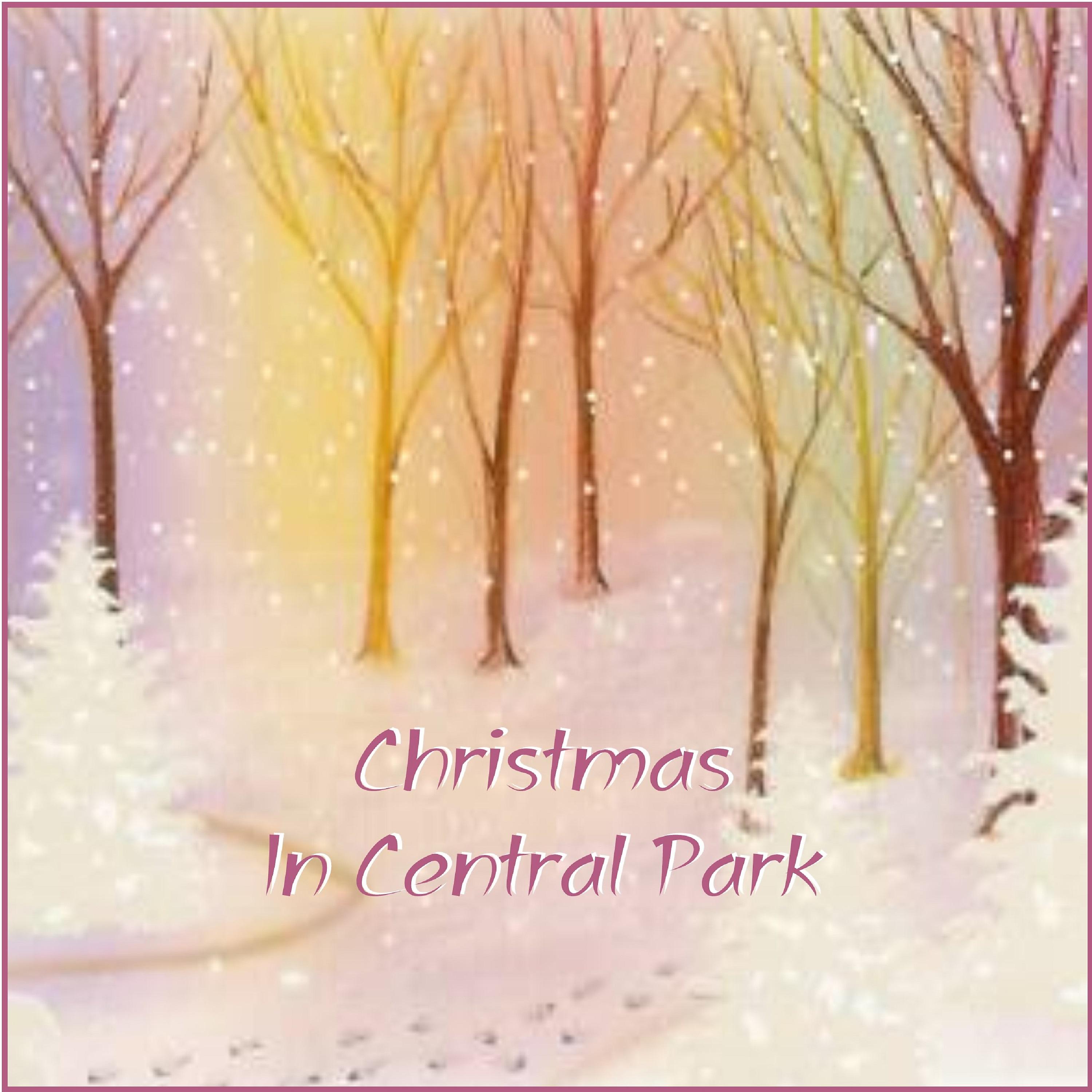 Постер альбома Christmas in Central Park