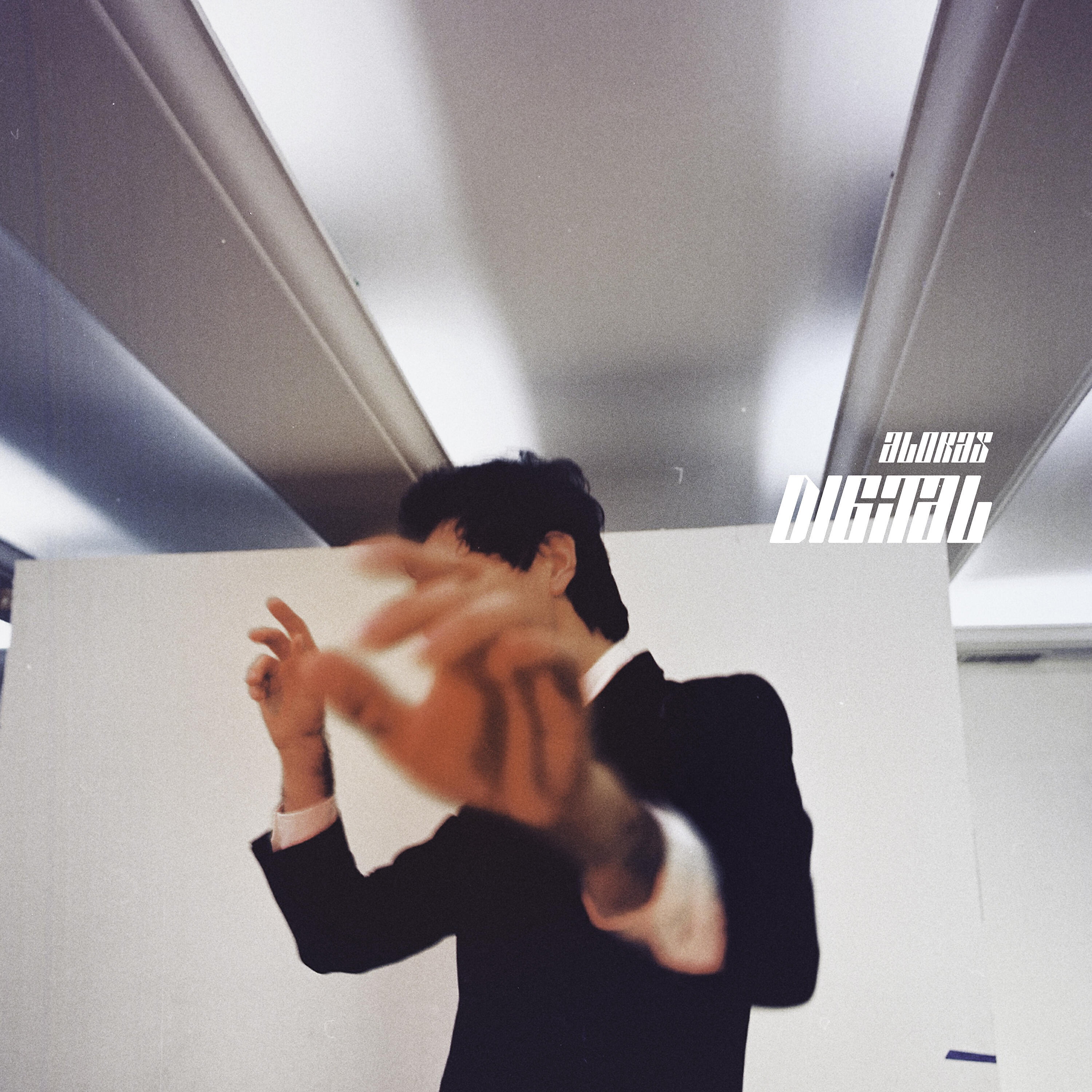 GONZALO ALORAS - NPV