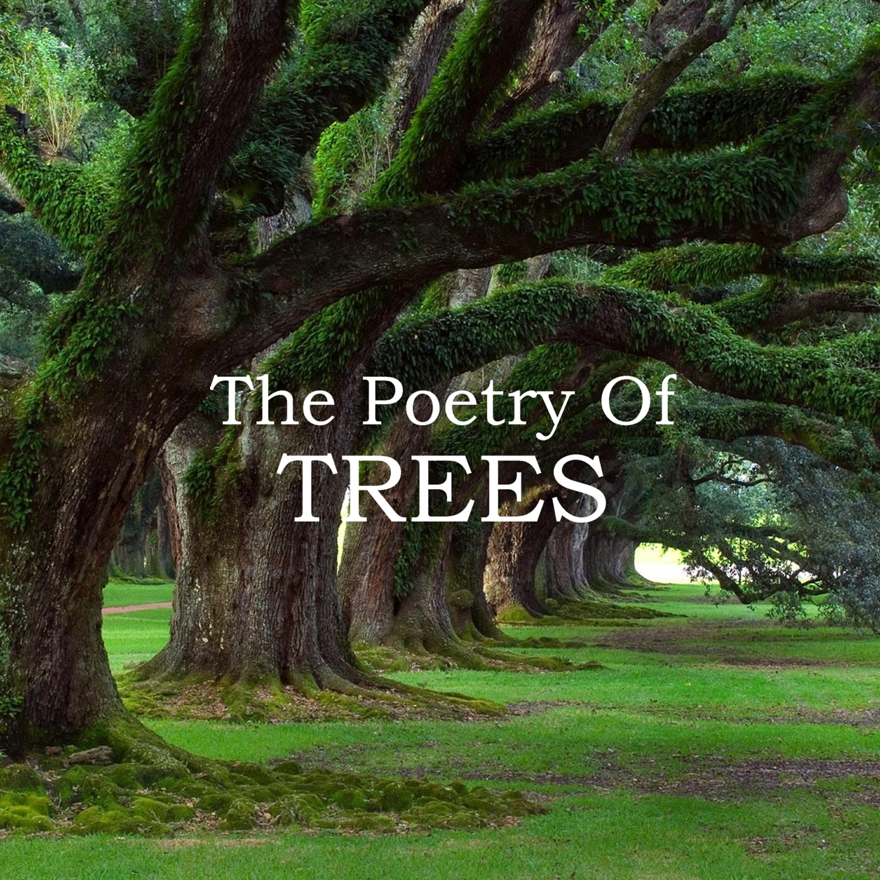 NIGEL PLANER - Rudyard Kipling - The Way Through the Woods