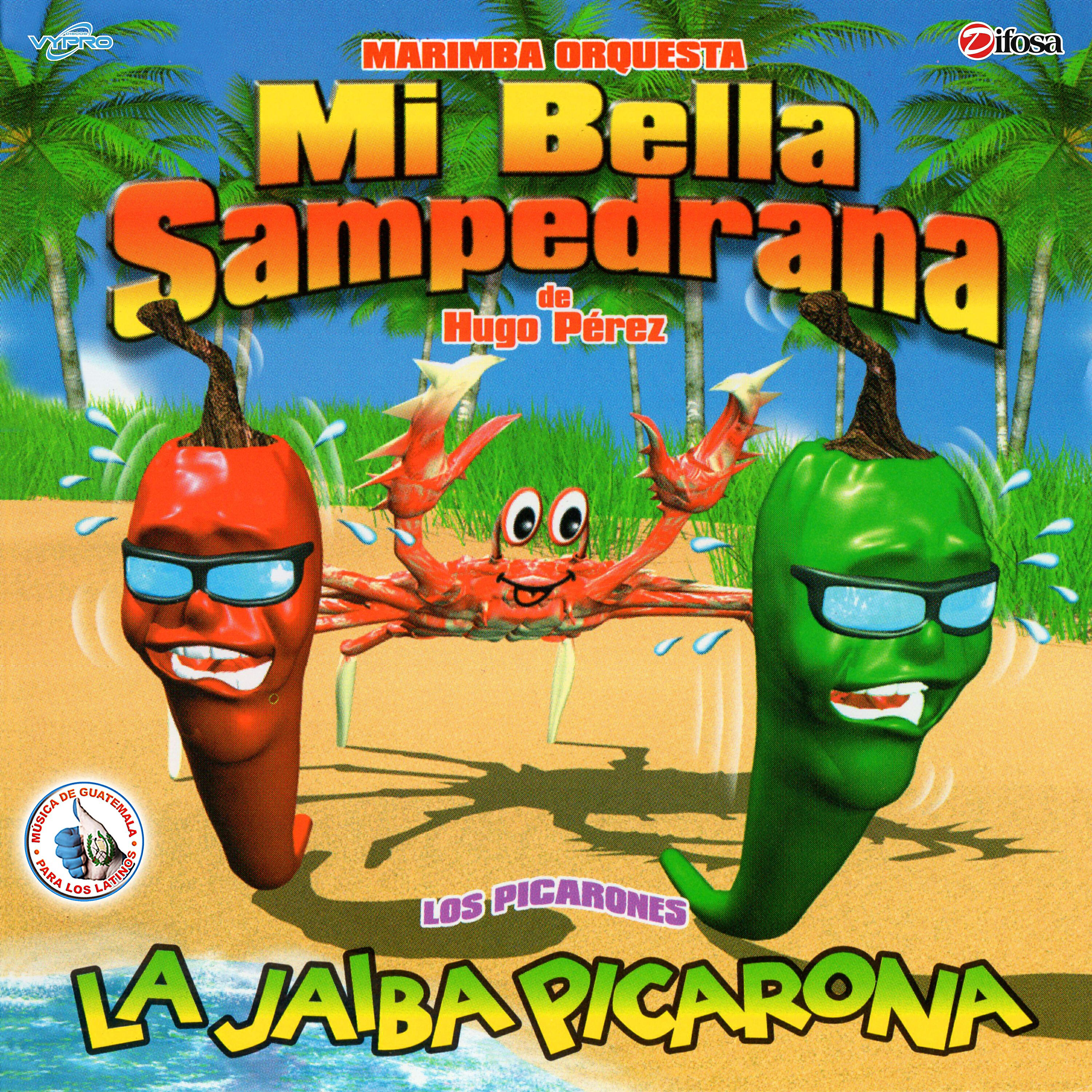 Marimba Orquesta Mi Bella Sampedrana - Cantón Ocosito en Feria
