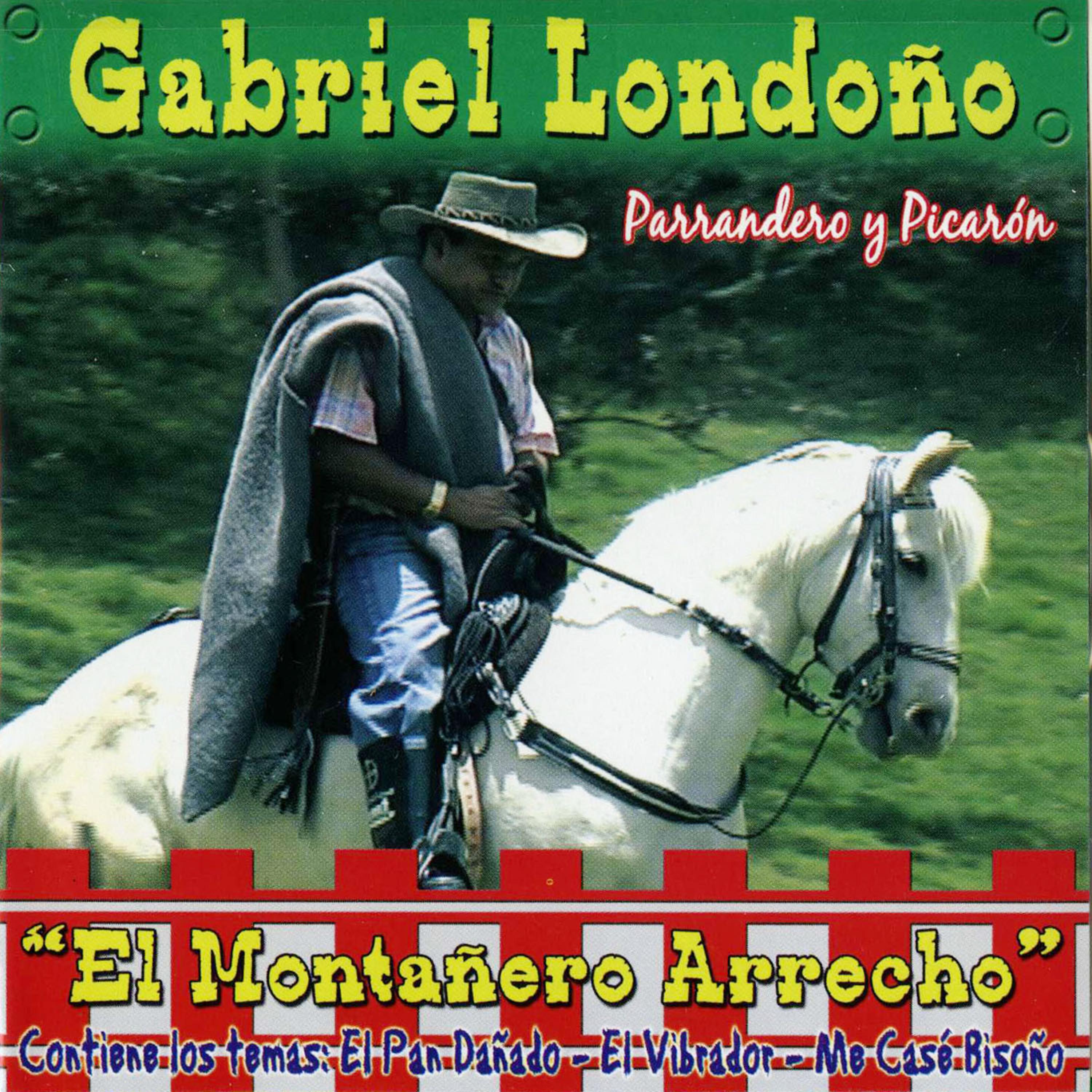 Постер альбома Parrandero y Picaron