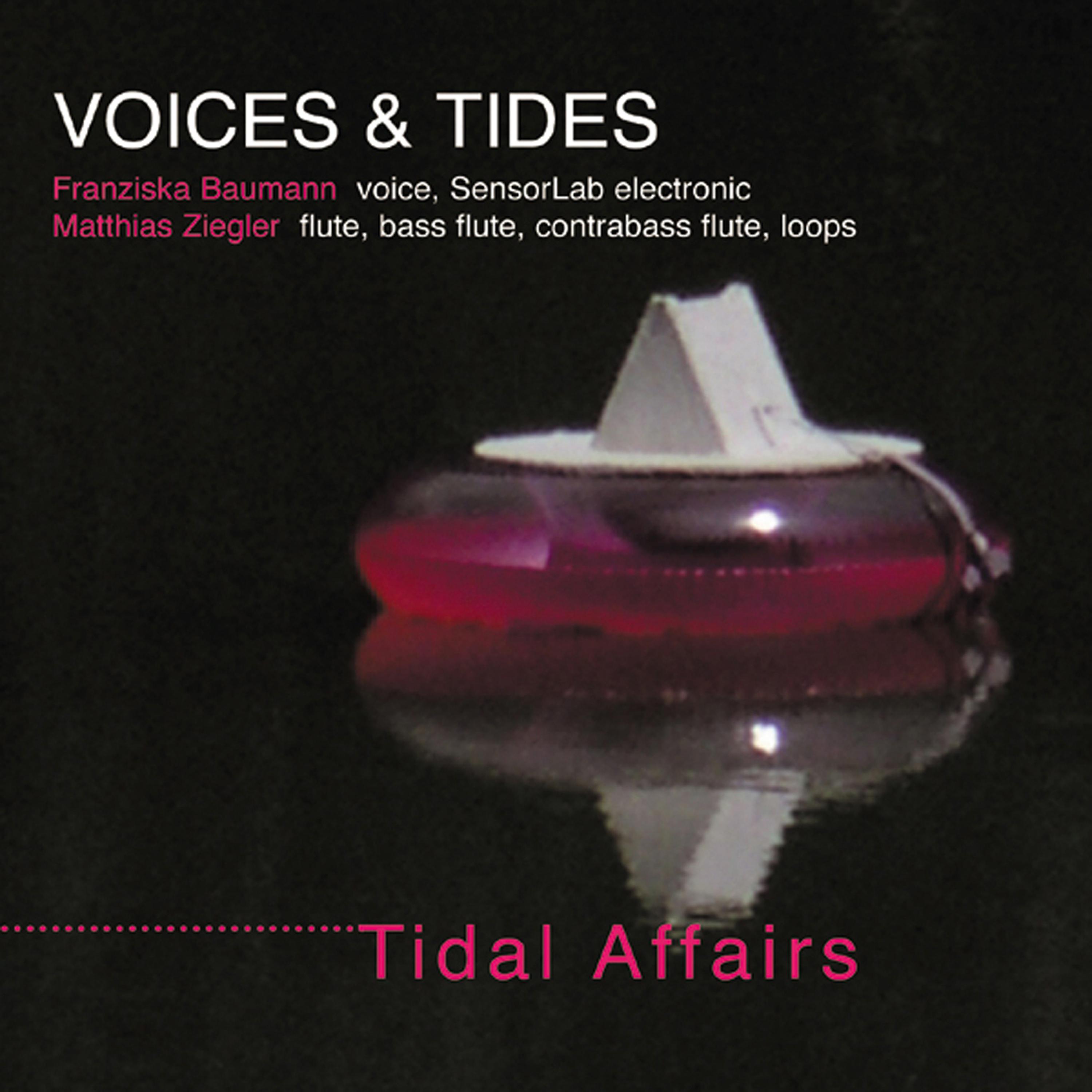 Постер альбома Voices & Tides - Tidal Affairs