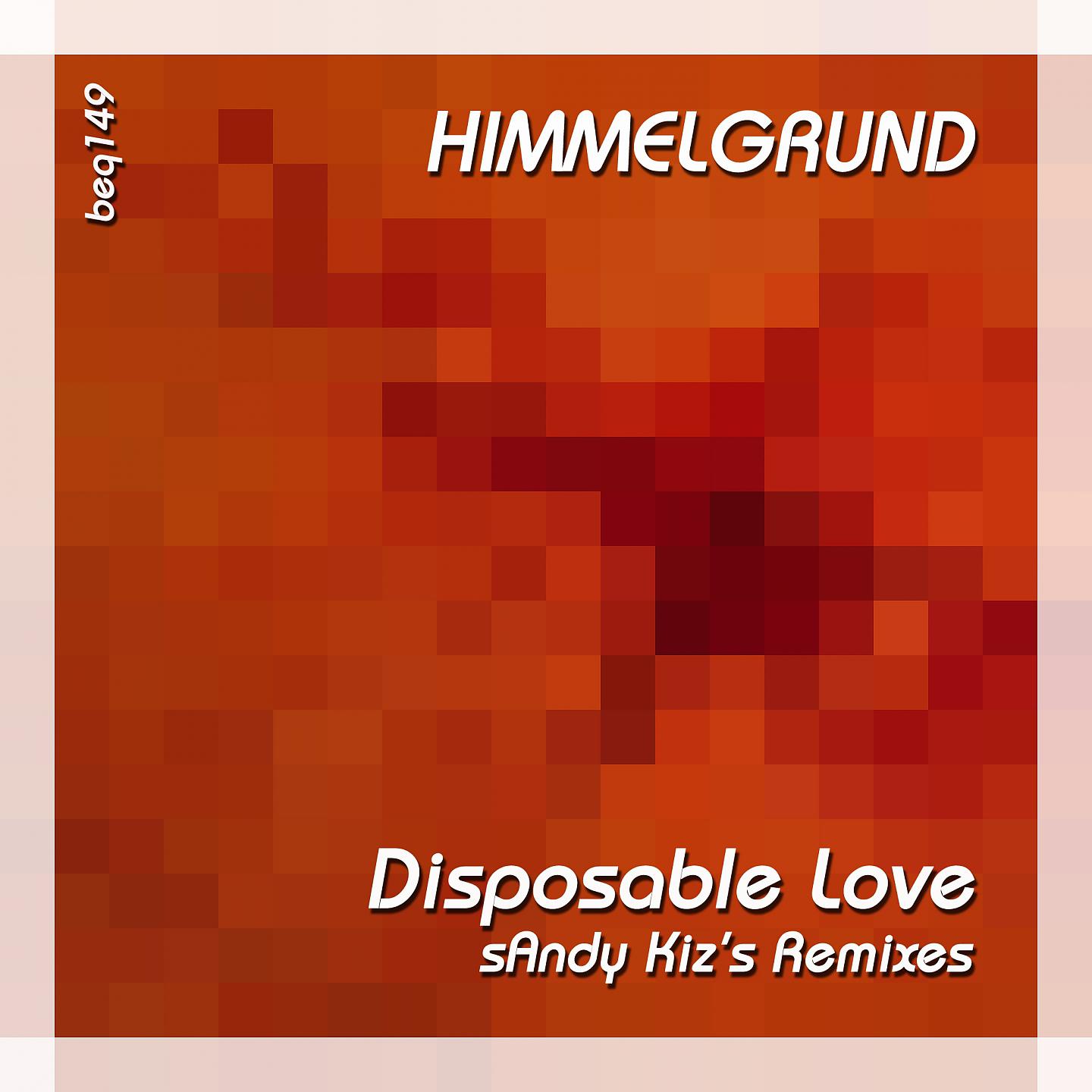 Постер альбома Disposable Love (Sandy Kiz's Remixes)