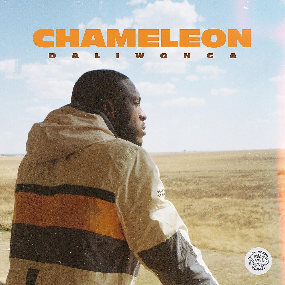 Daliwonga - Jabula
