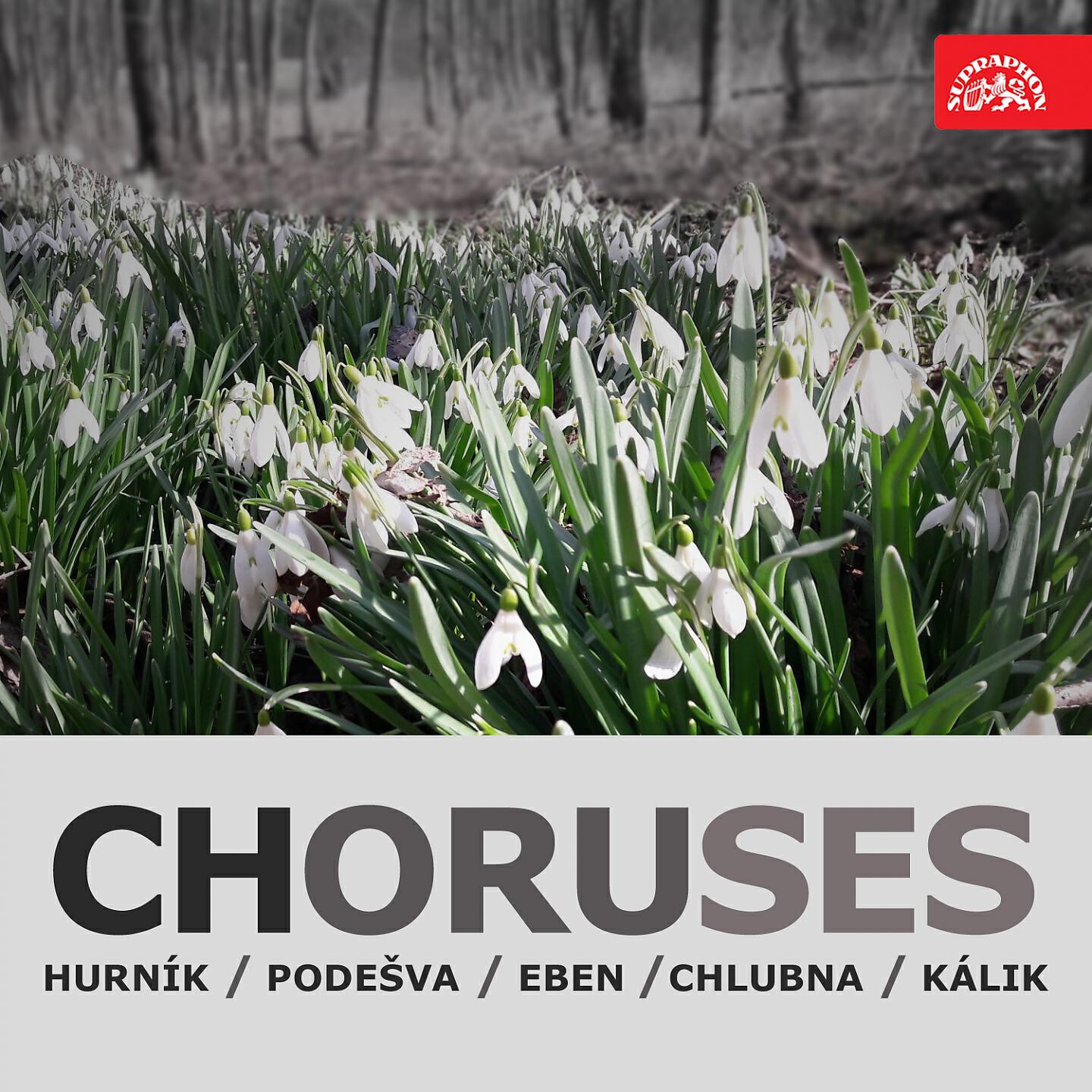 Prague Philharmonic Choir - Choruses of Mathers: Hulánova píseň