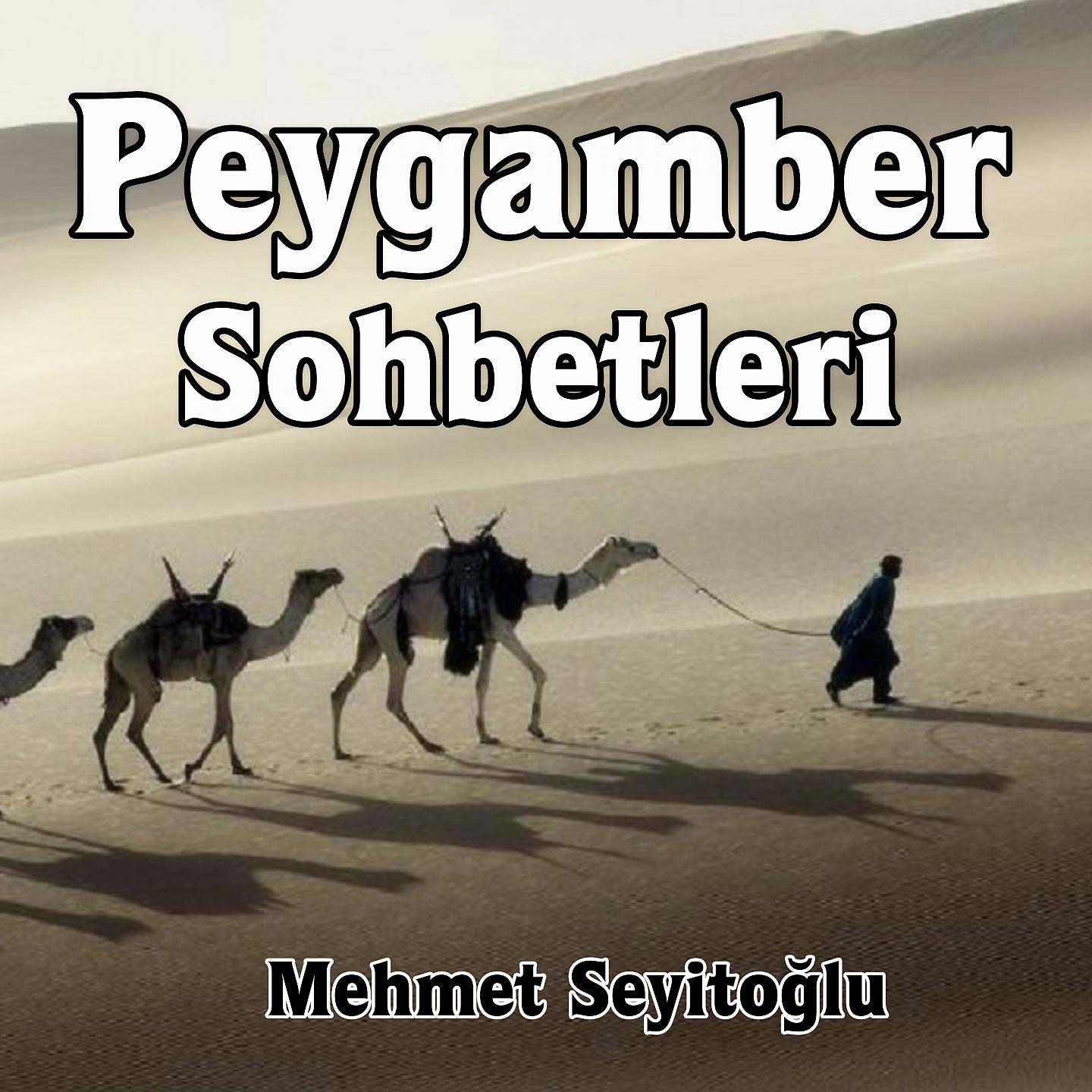 Постер альбома Peygamber Sohbetleri