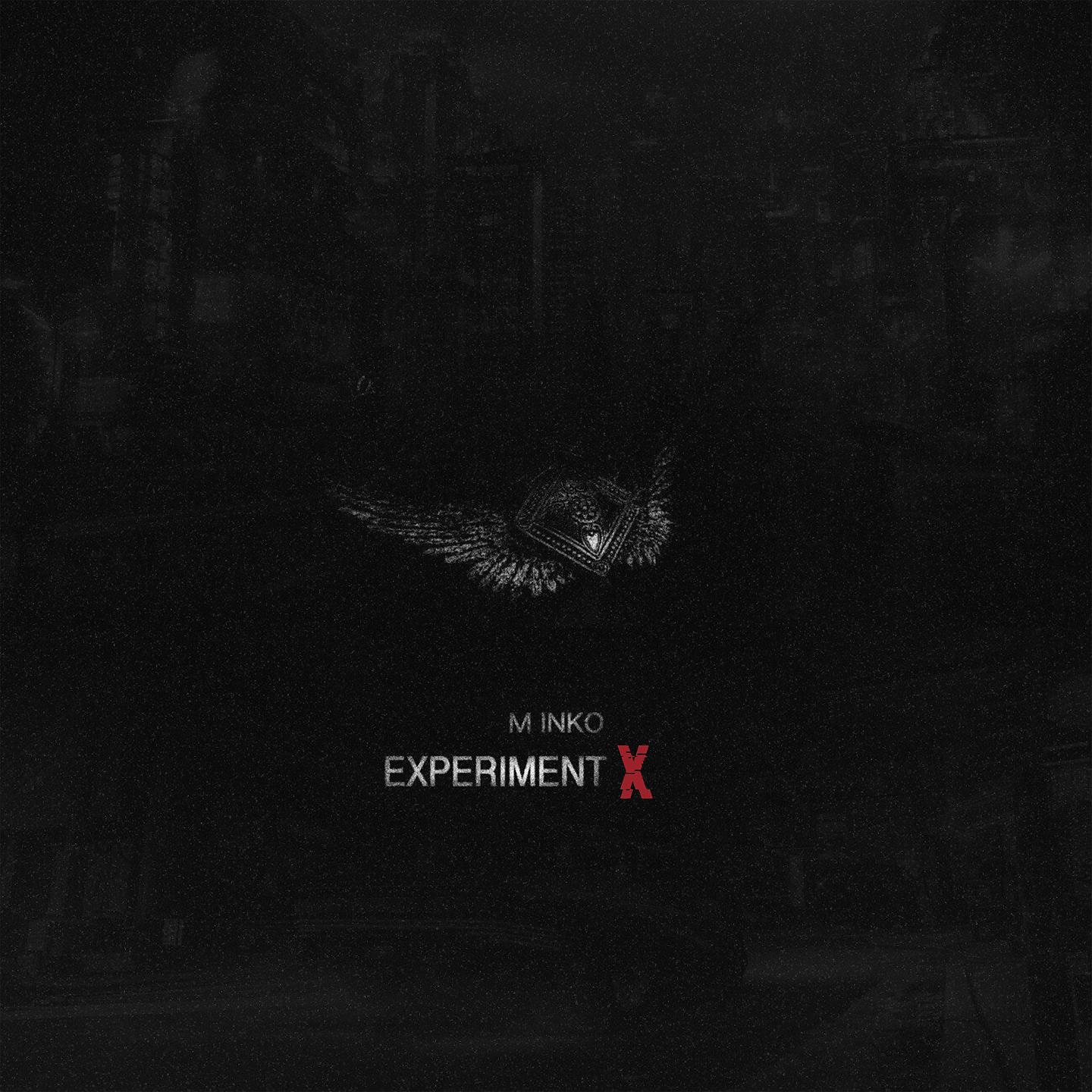 Постер альбома Experiment X