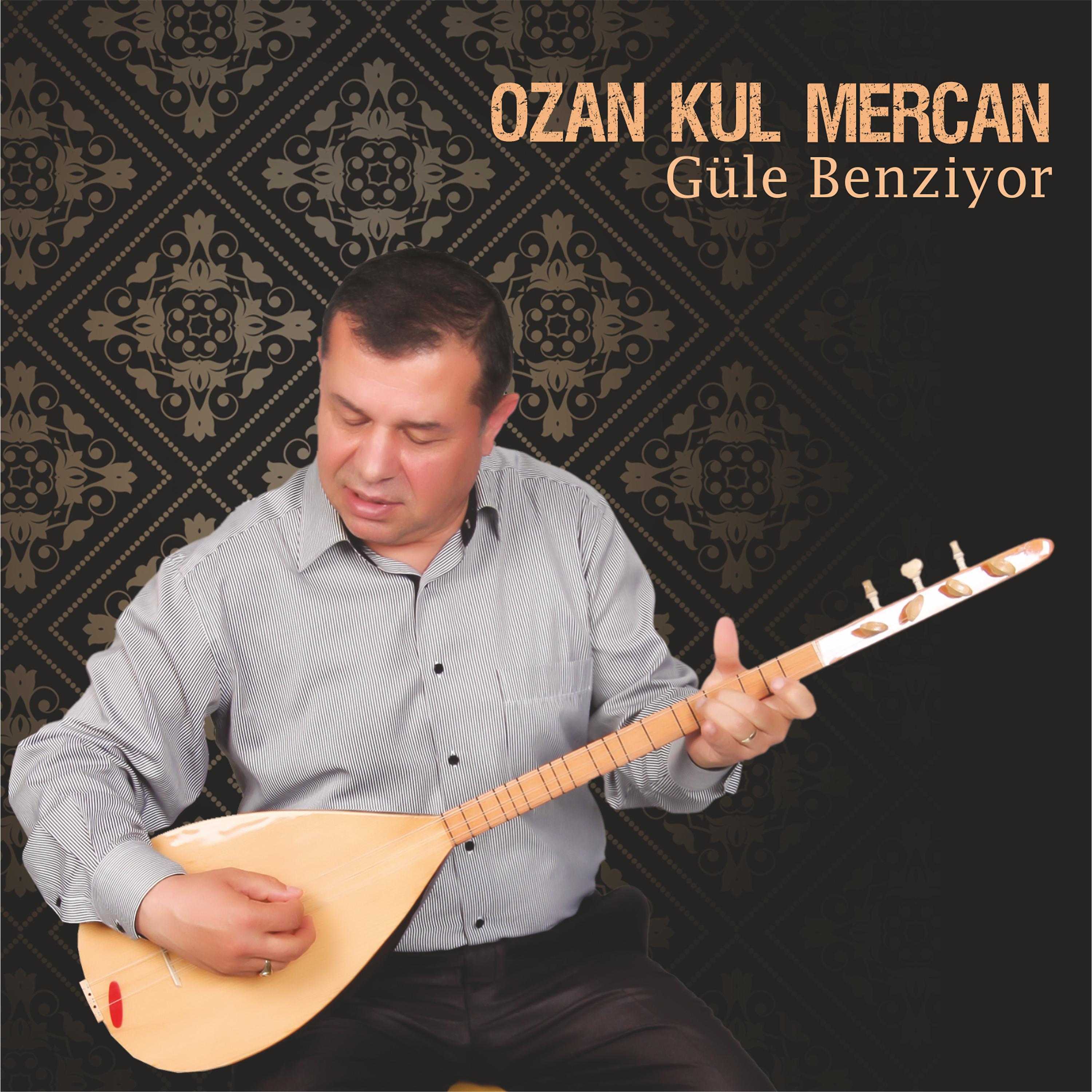 Постер альбома Güle Benziyor