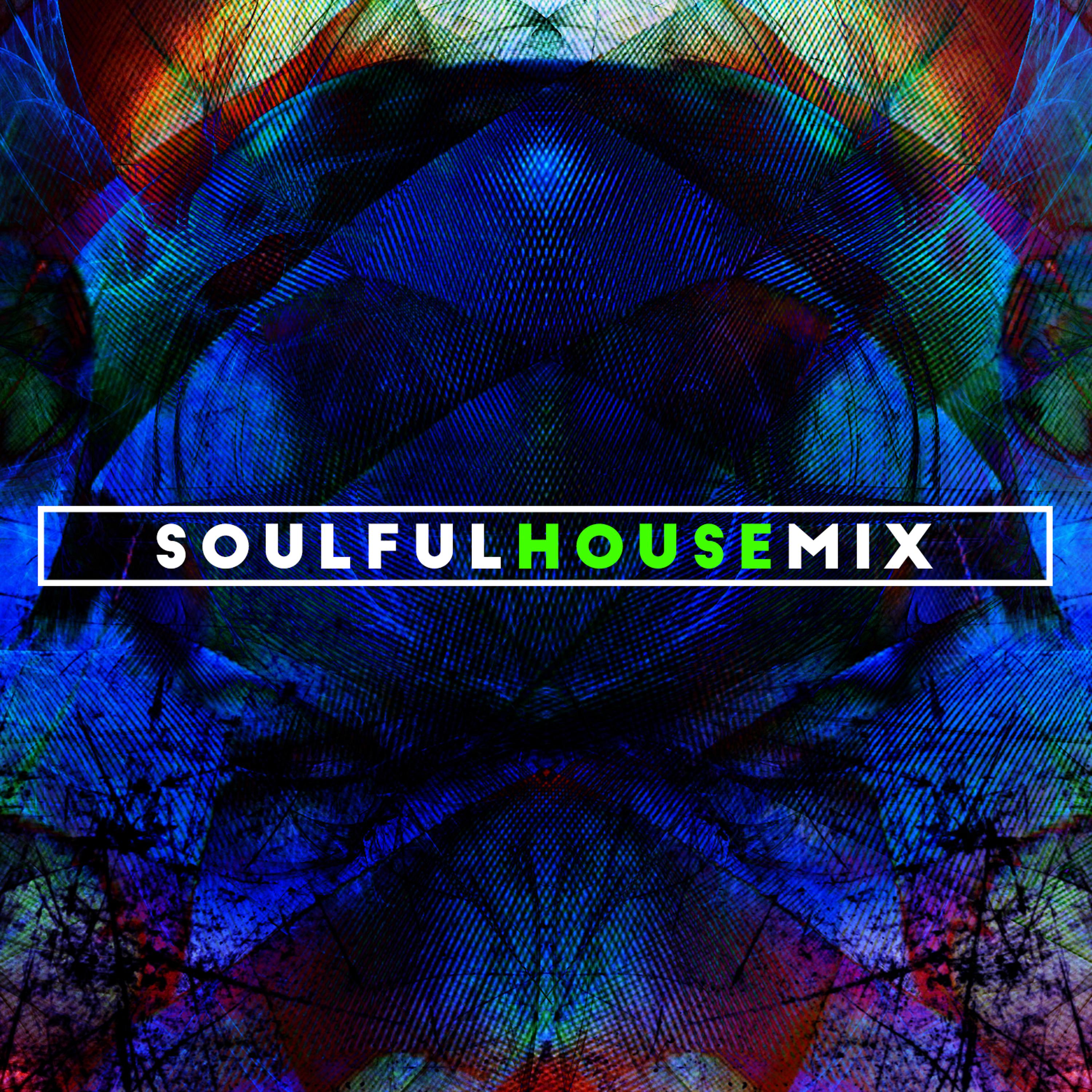 Постер альбома Soulful House Mix