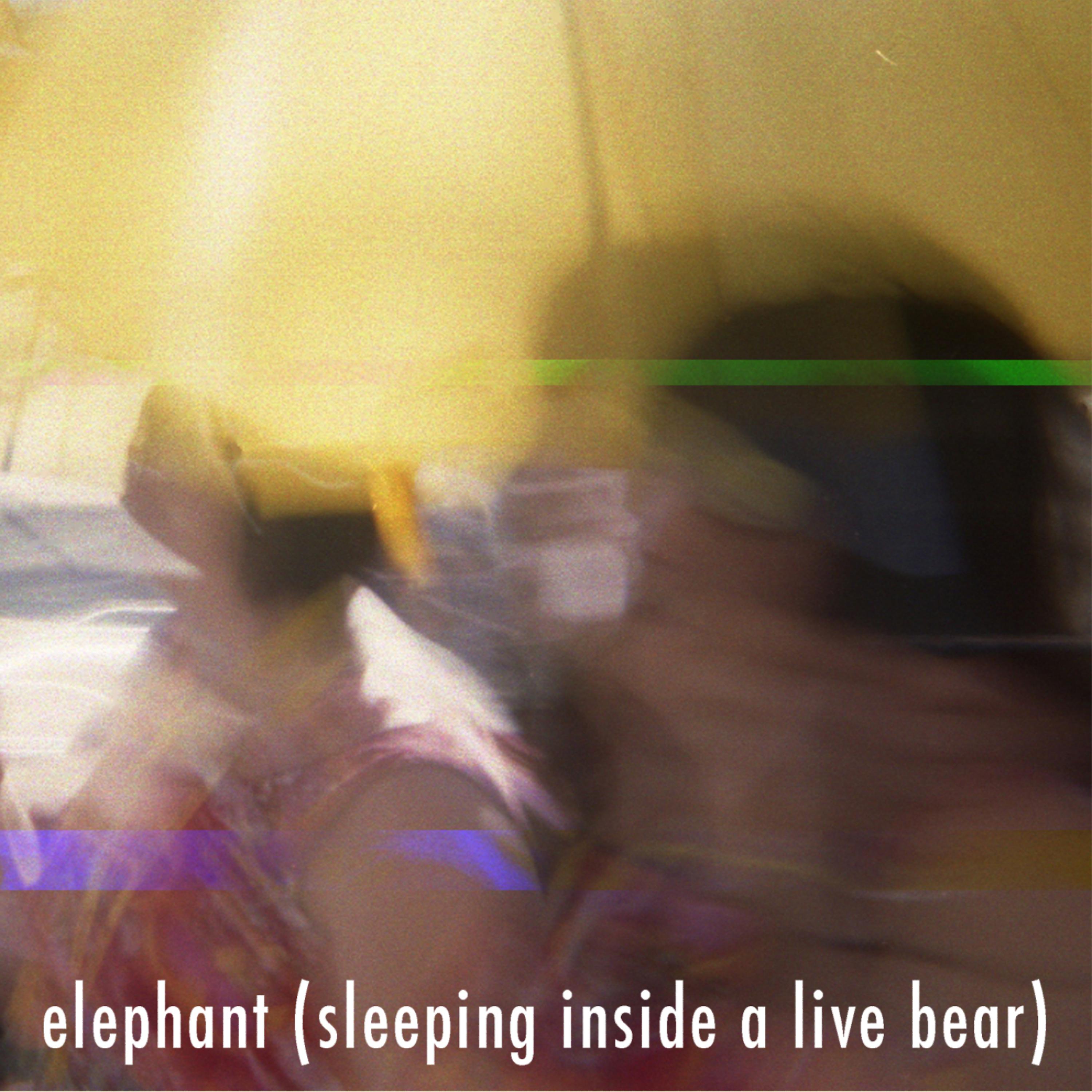 Постер альбома Sleeping Inside A Live Bear