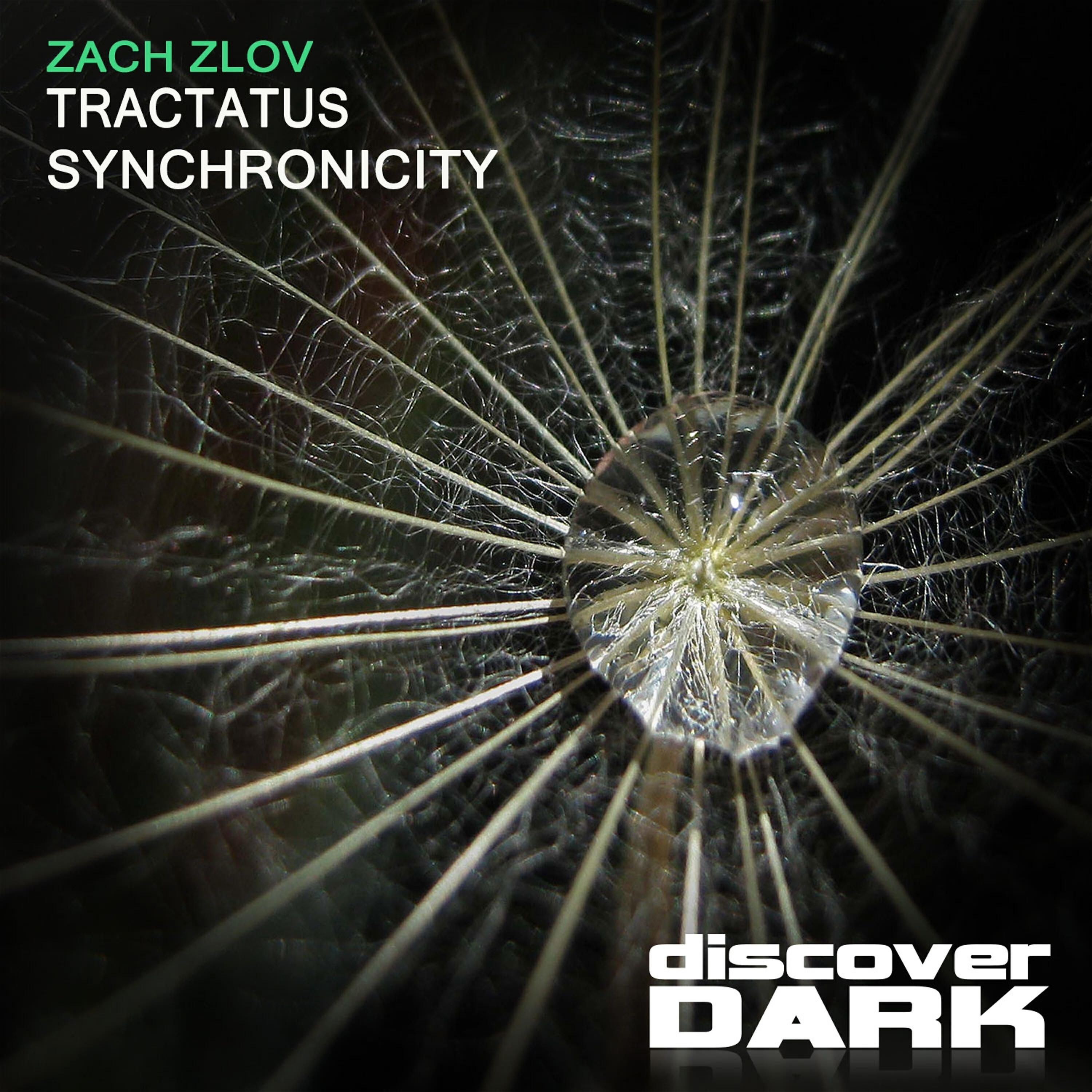 Zach Zlov - Synchronicity