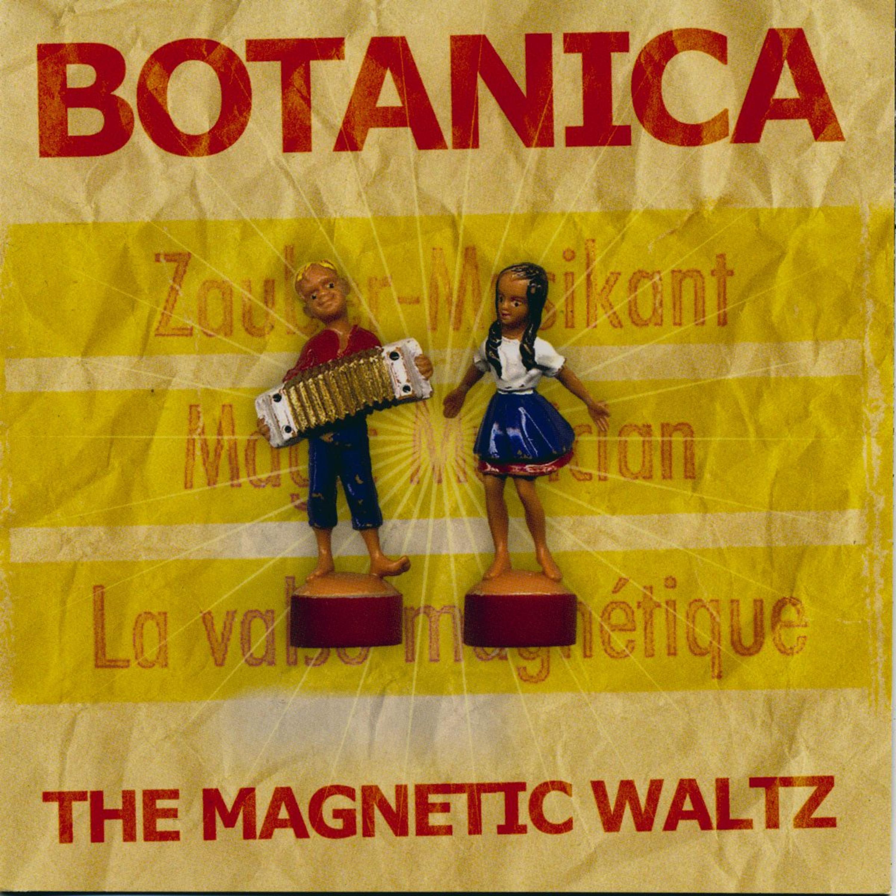 Постер альбома The Magnetic Waltz (Bonus Editon)
