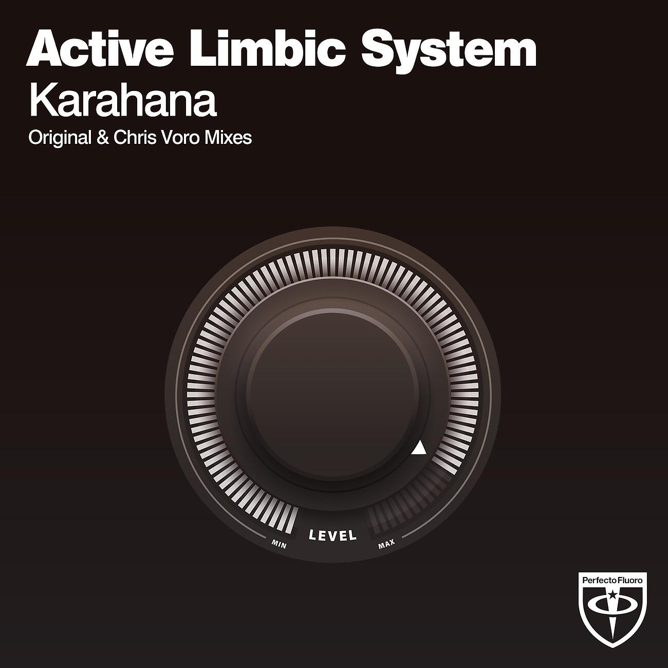 Active Limbic System - Karahana (Chris Voro Remix)