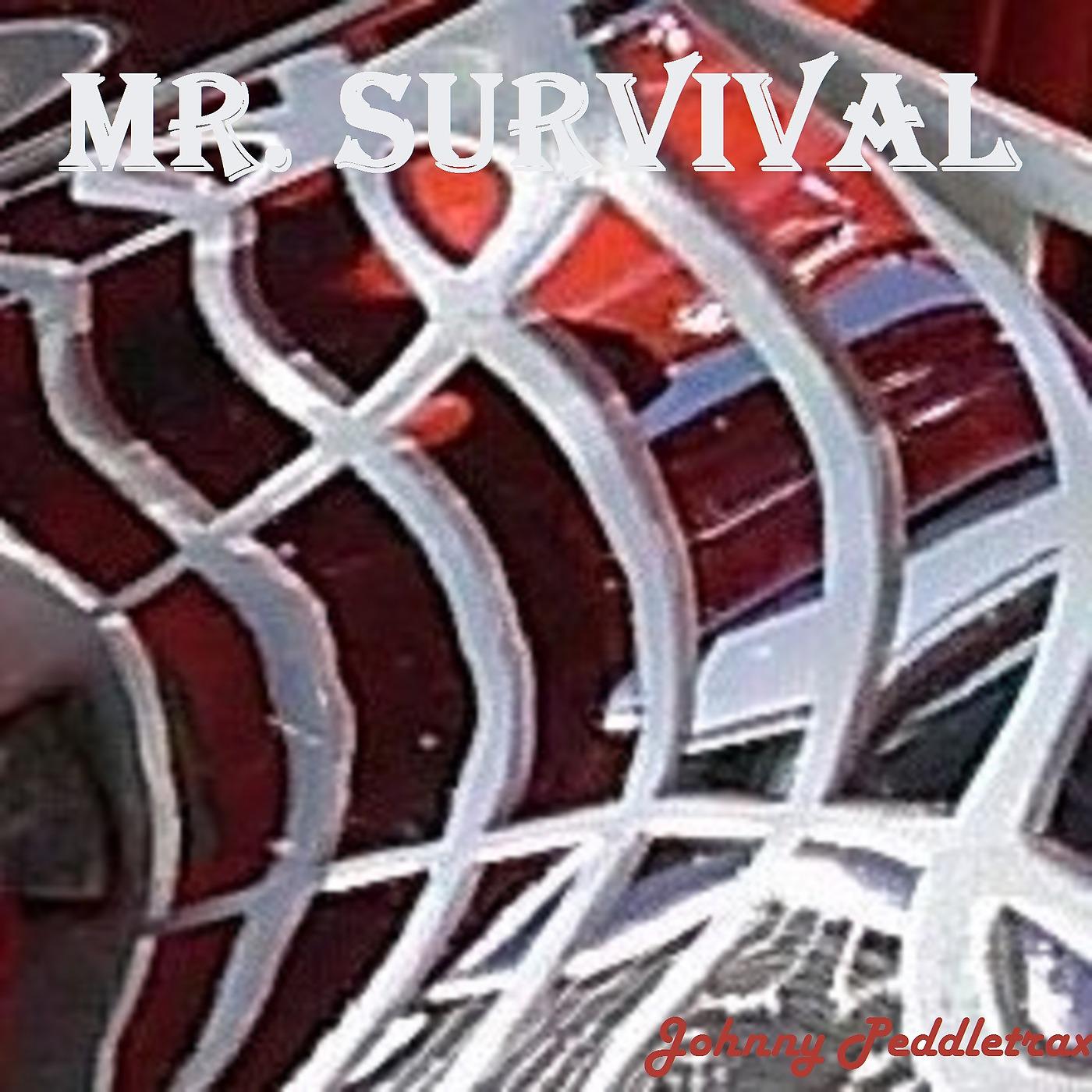 Постер альбома Mr. Survival