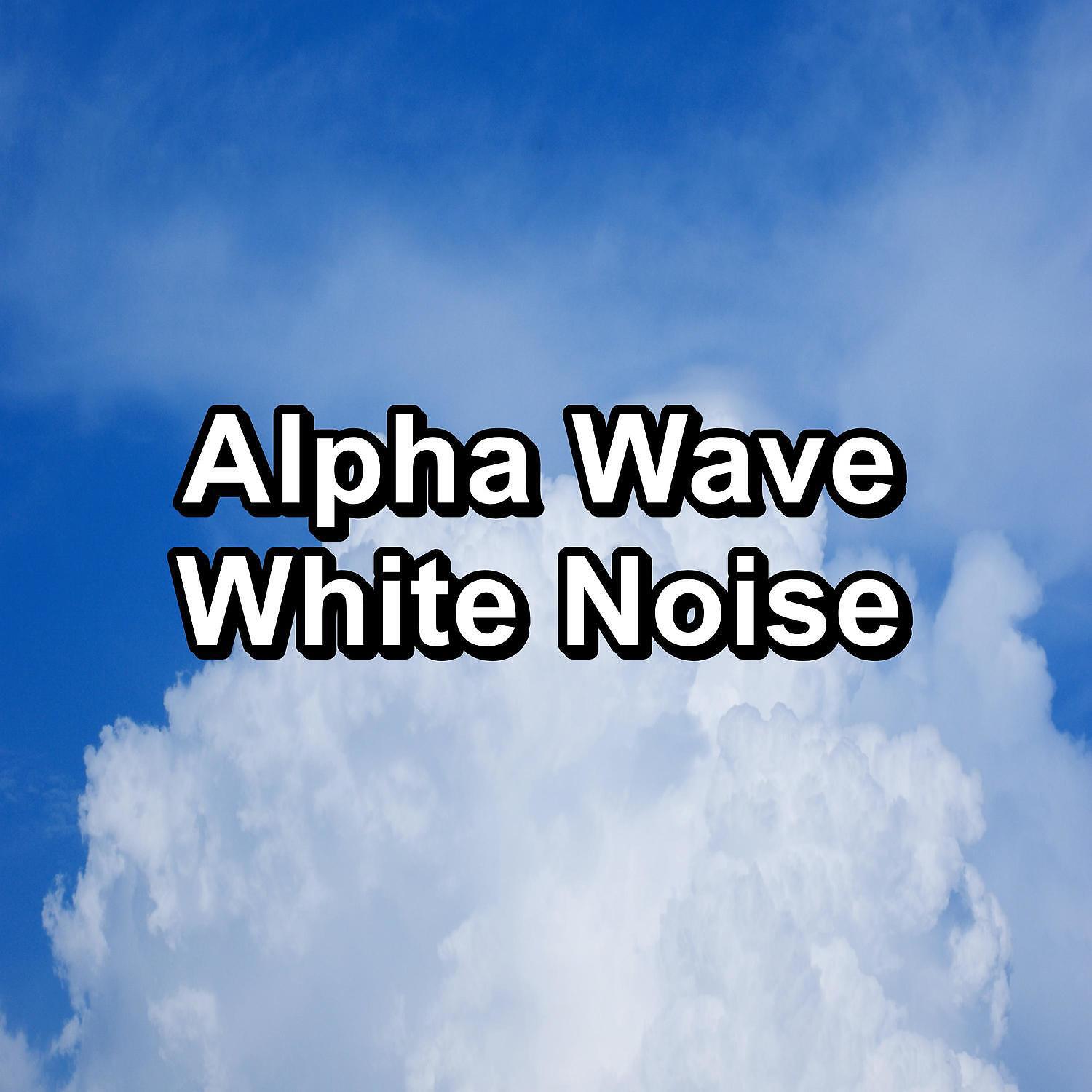 Sleep Sound Library - Womb Sounds Bear Loopable