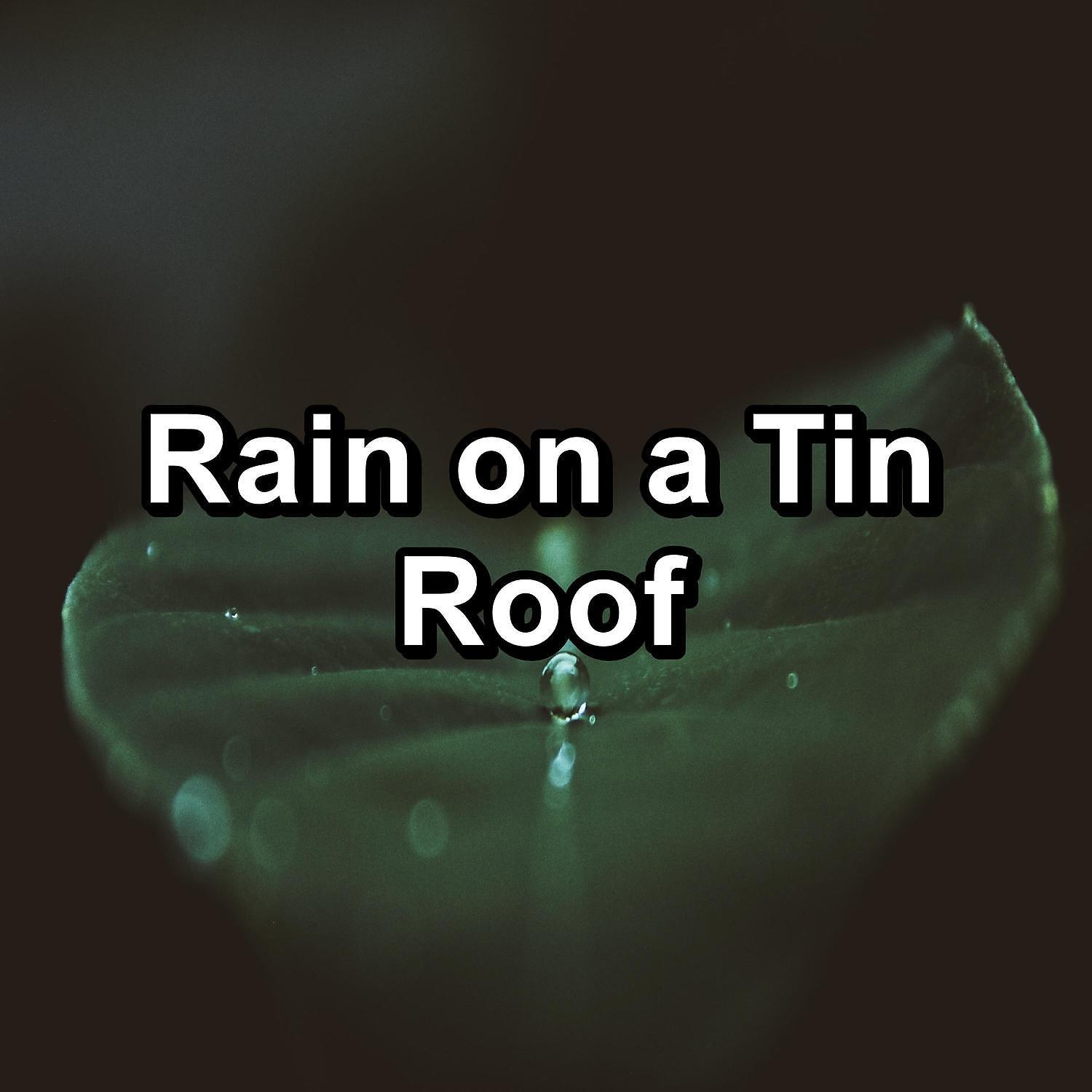 Постер альбома Rain on a Tin Roof