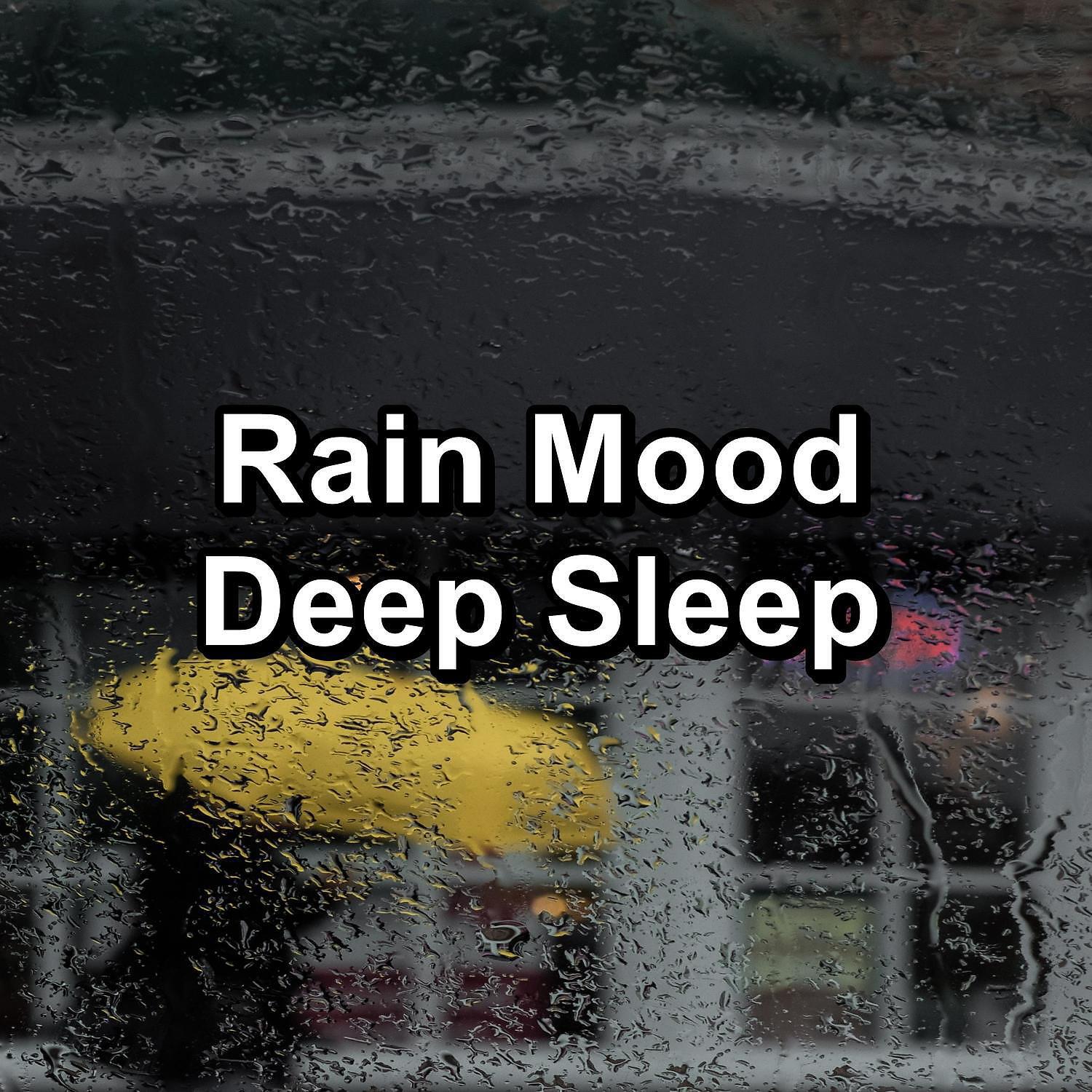 Sleep Tribe - Rain Sound Showers Noise for Trouble Sleeping
