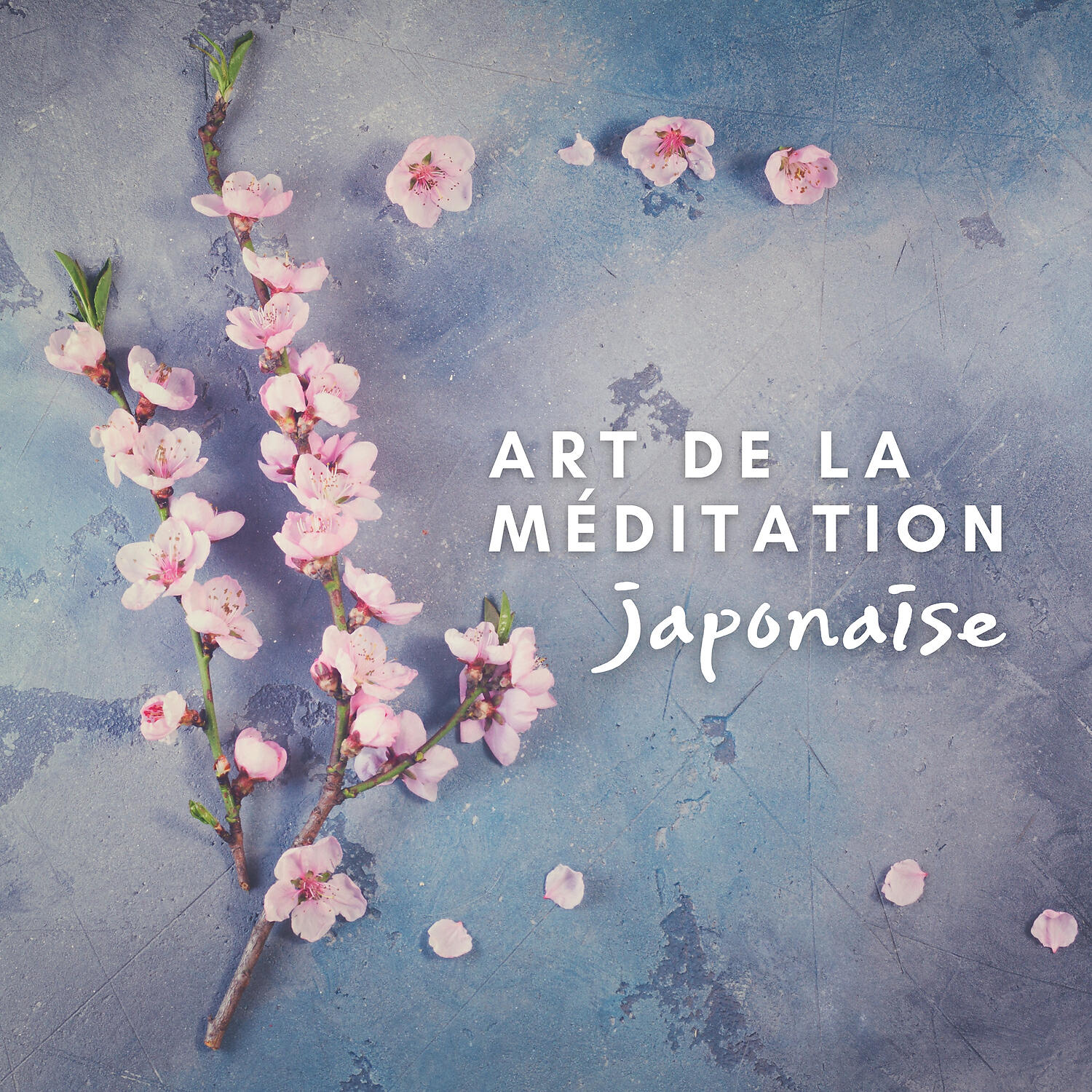 Académie de Bien-Être - Fleur de cerisier