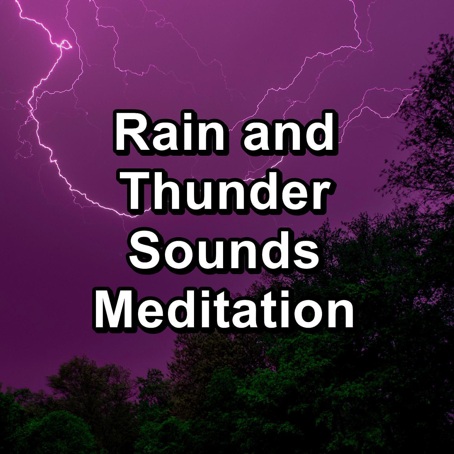125 Nature Sounds - Relaxing Rain in the Rainy Forest Calm Instrumental Sounds