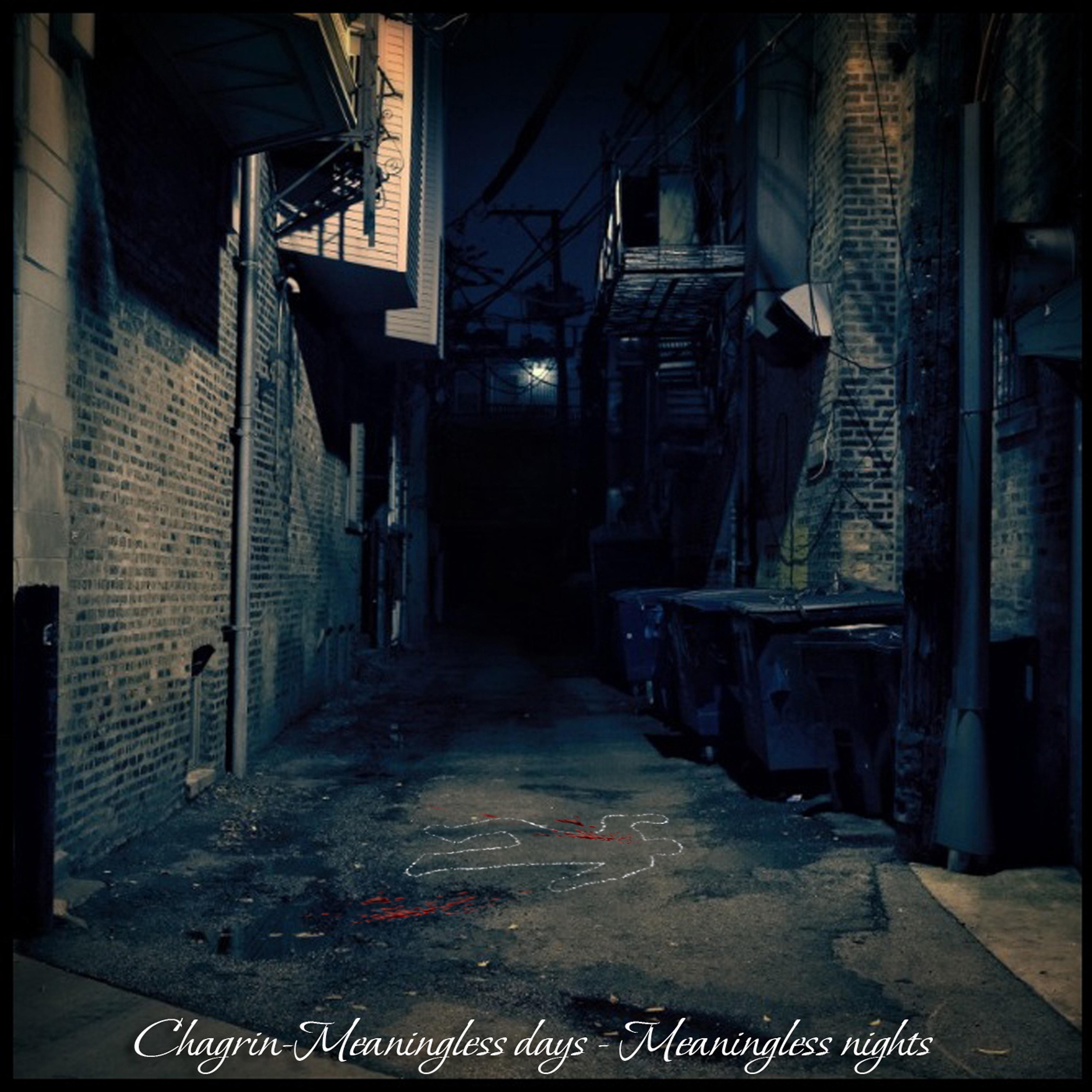Постер альбома Meaningless Days - Meaningless Nights