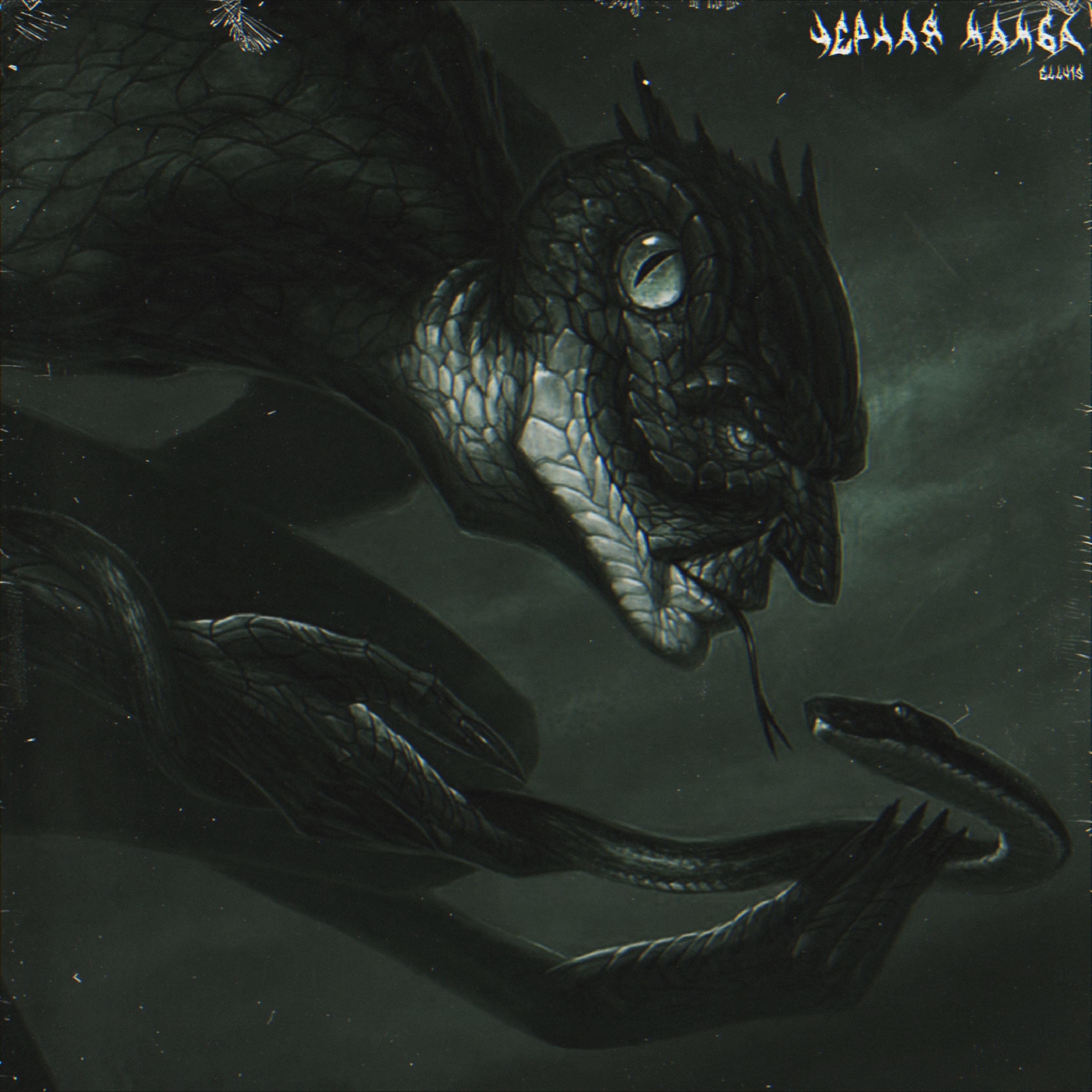 Постер альбома Чёрная мамба