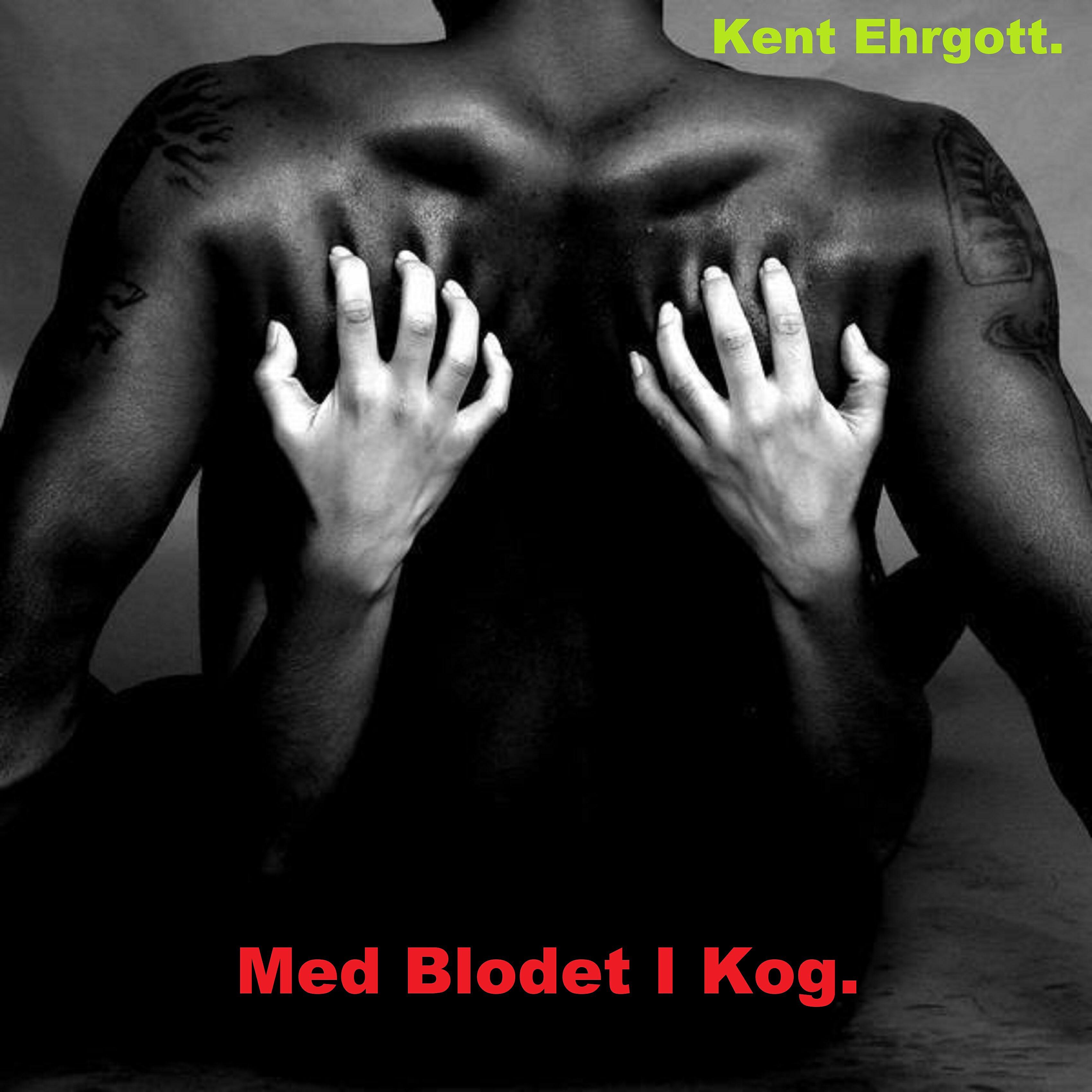 kent ehrgott. - En Verden Fuld Af Fejl