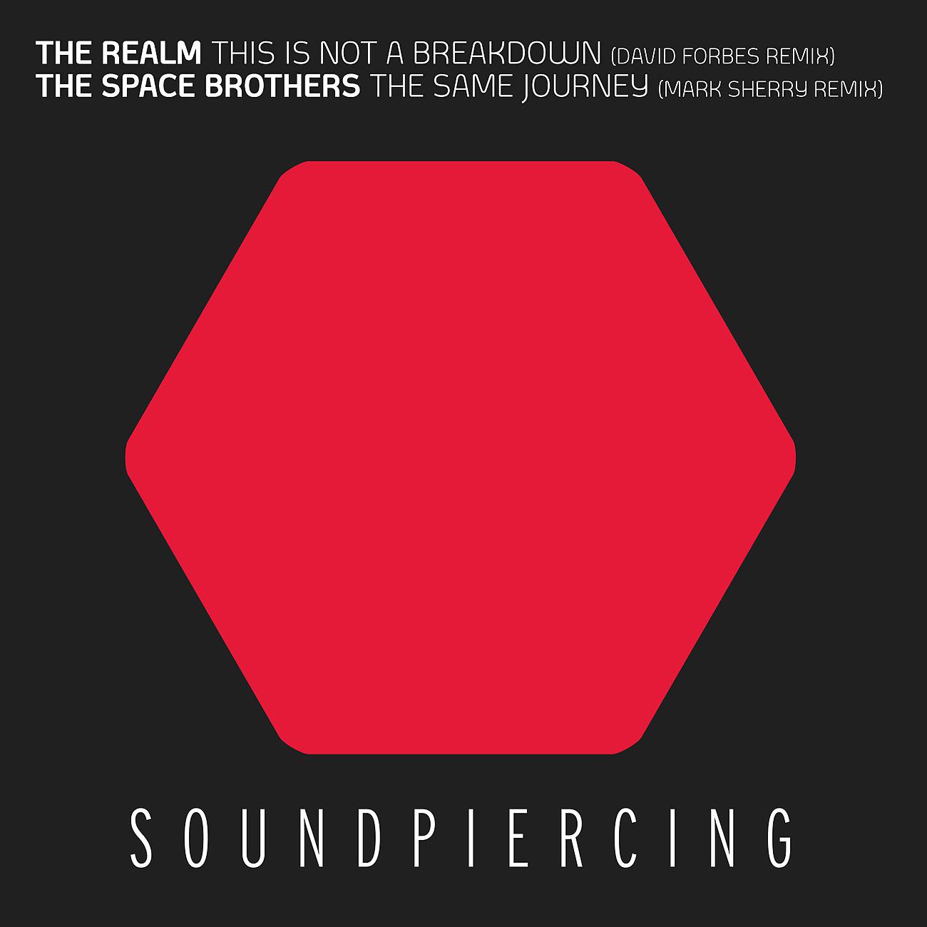 The Realm - This Is Not A Breakdown (David Forbes Radio Edit)