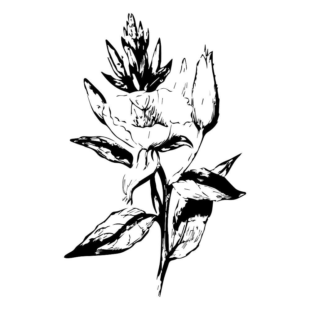 Tobias Schmid - Glimmer Schwarzes Kerosin