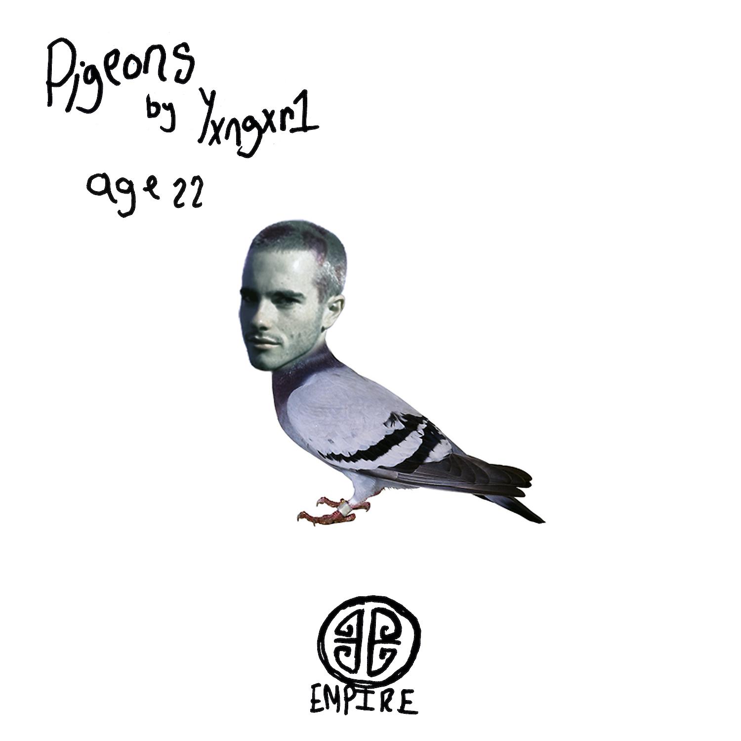 Постер альбома PIGEONS