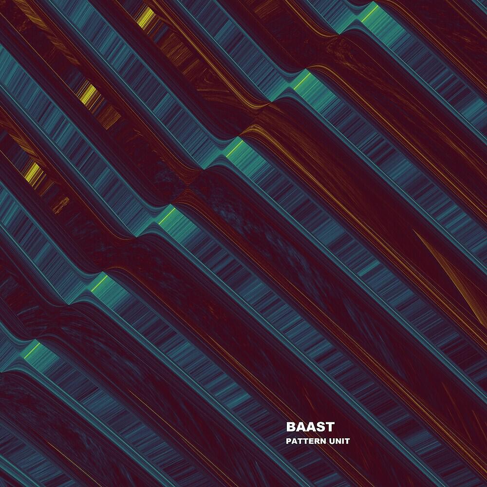 BAAST - Phylum