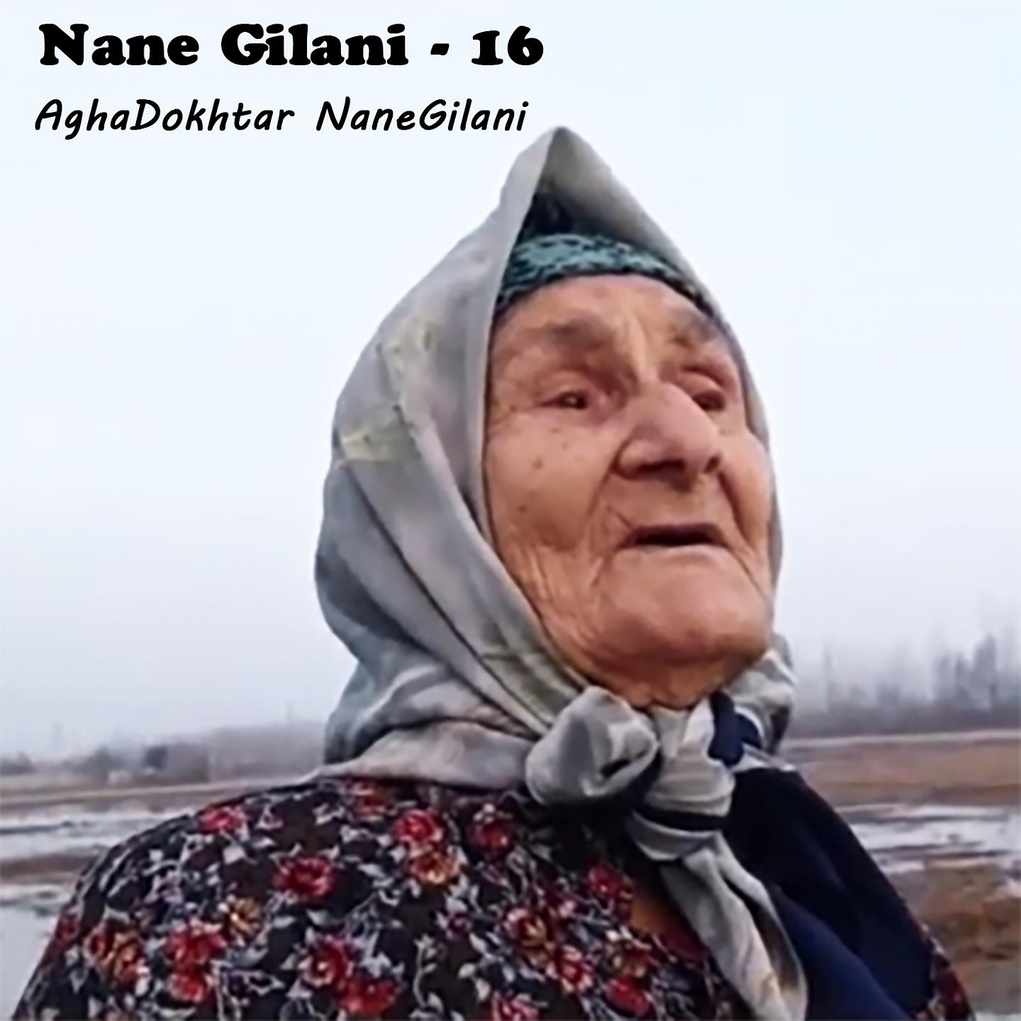Постер альбома Nane Gilani - 16