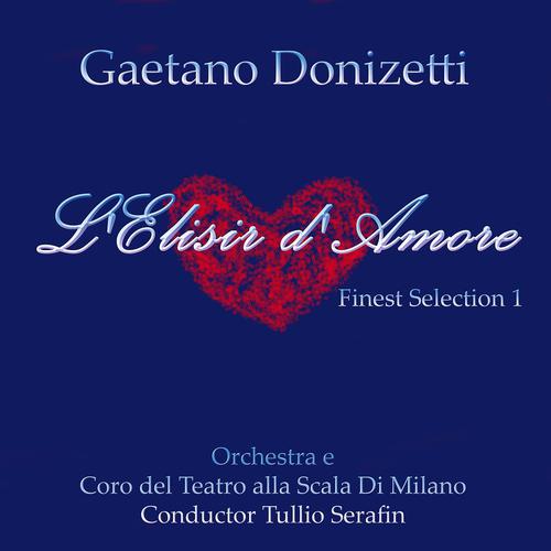 Постер альбома Gaetano Donizzetti: L'elisir d'amore (Finest Selection)