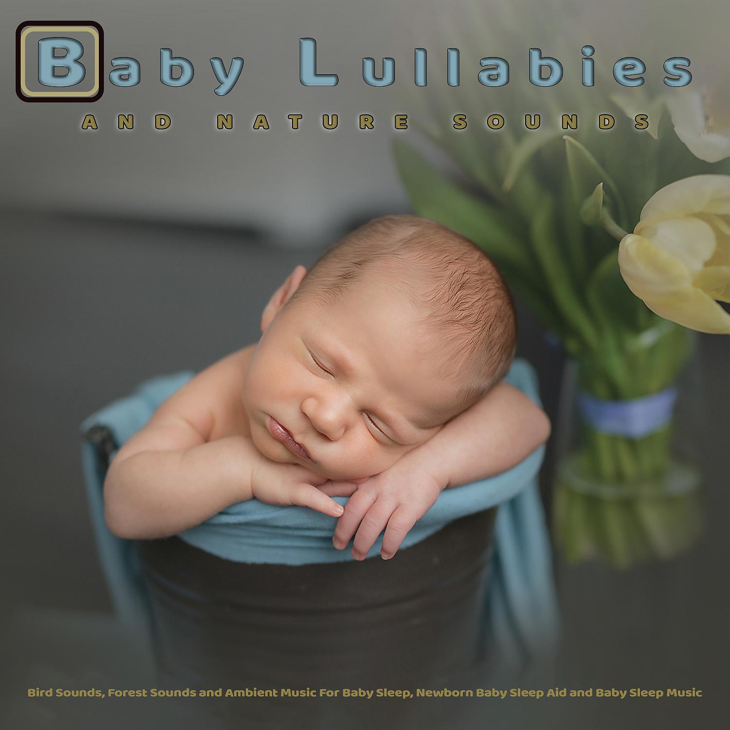 Постер альбома Baby Lullabies: Baby Lullaby Music and Nature Sounds, Bird Sounds, Forest Sounds and Ambient Music For Baby Sleep, Newborn Baby Sleep Aid and Baby Sleep Music