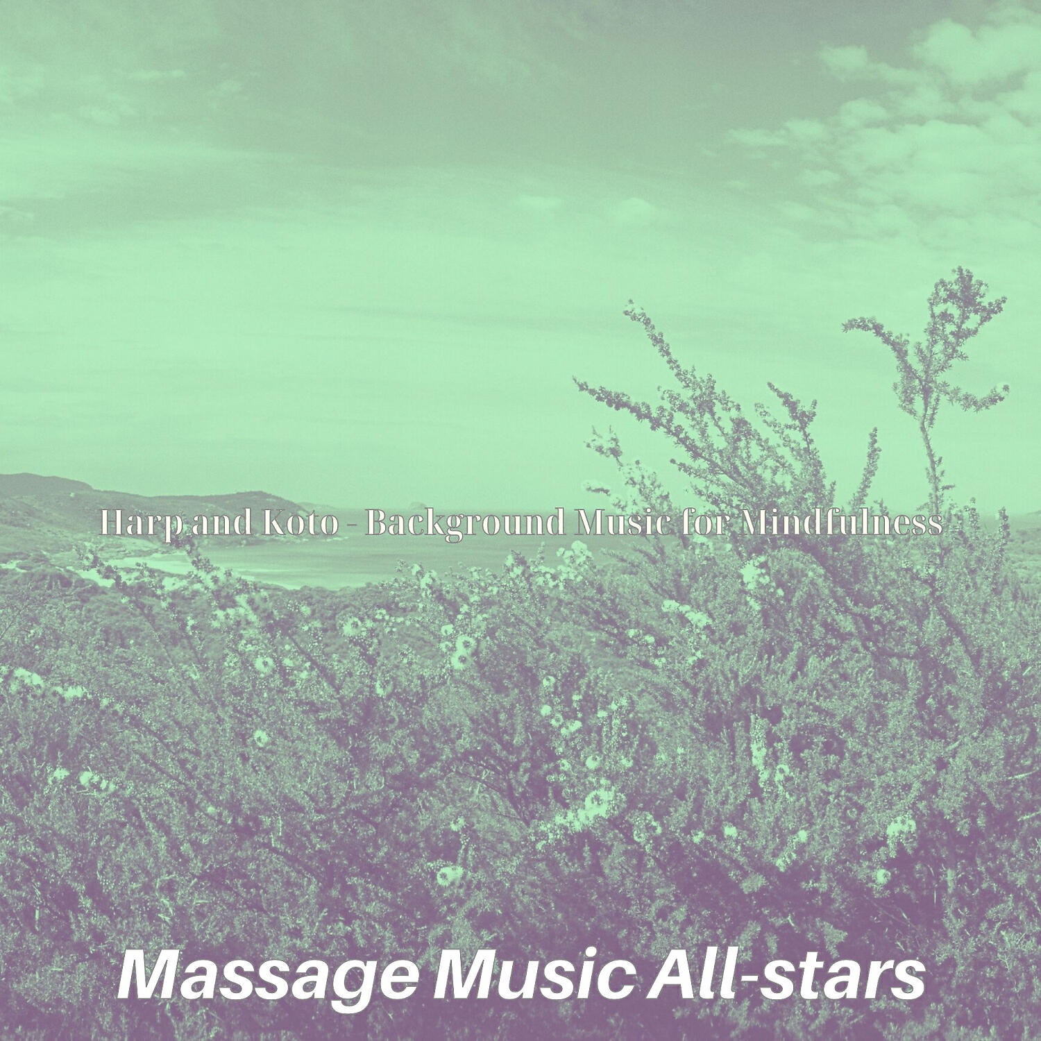 Massage Music All-stars - Hip Music for Refreshing Spa Treatments