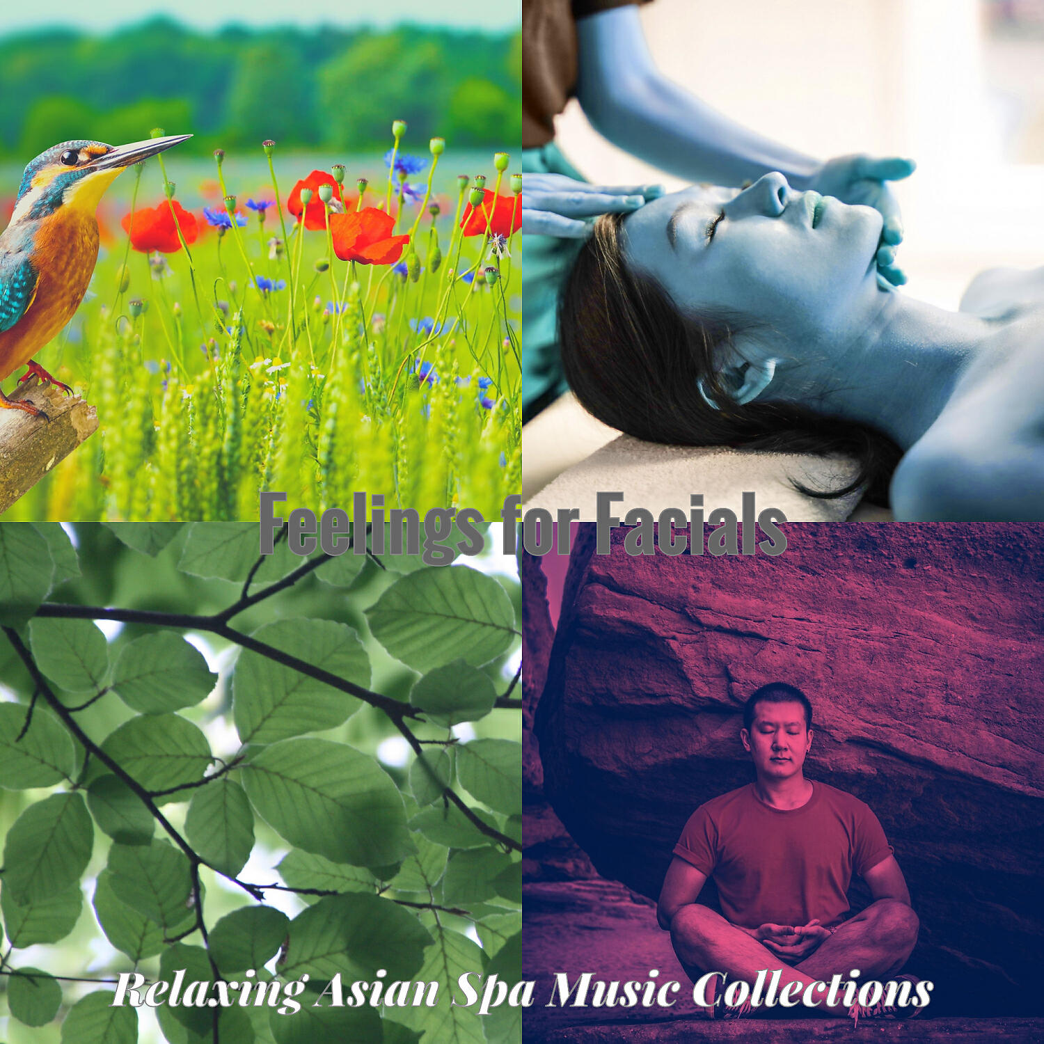 Relaxing Asian Spa Music Collections - Amazing Shakuhachi and Harps - Vibe for Body Wraps