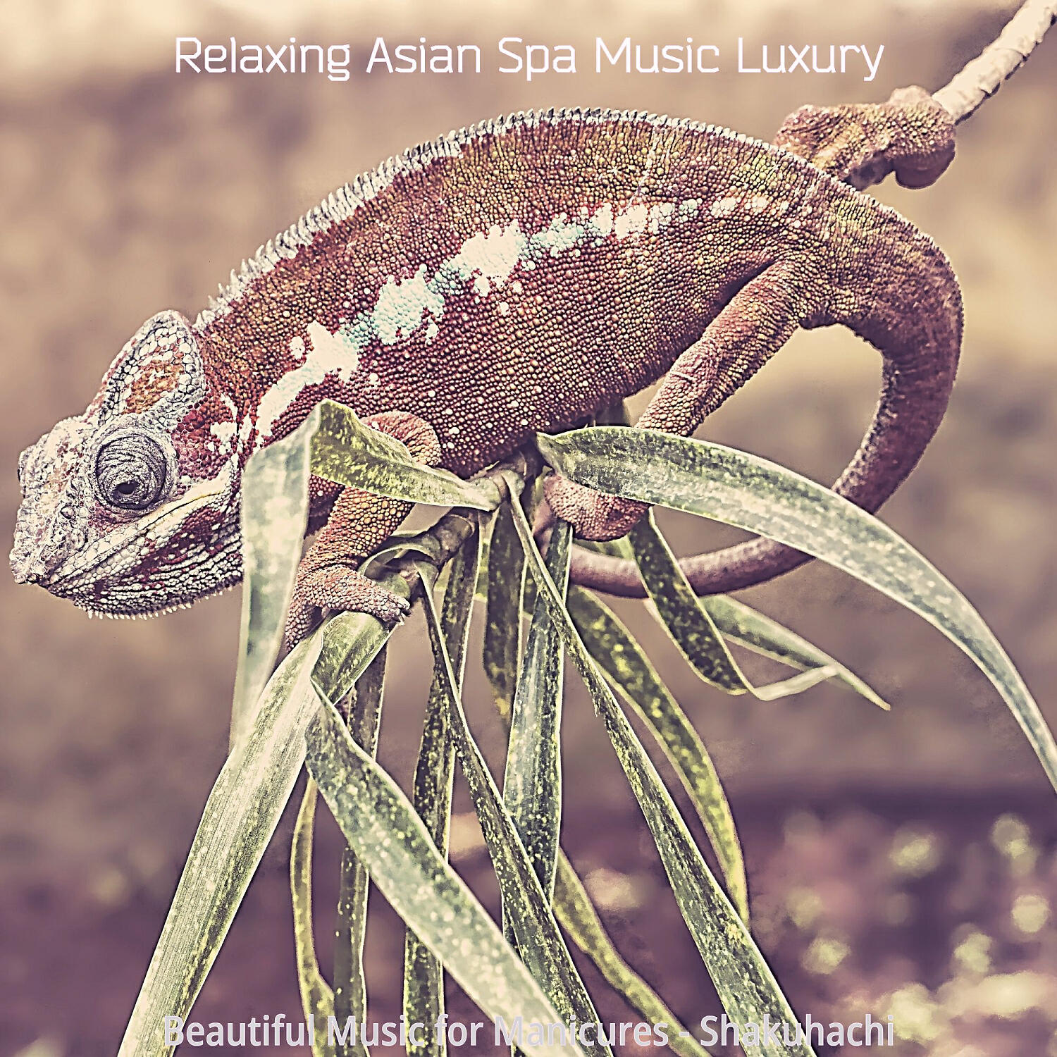 Relaxing Asian Spa Music Luxury - Deluxe Body Wraps