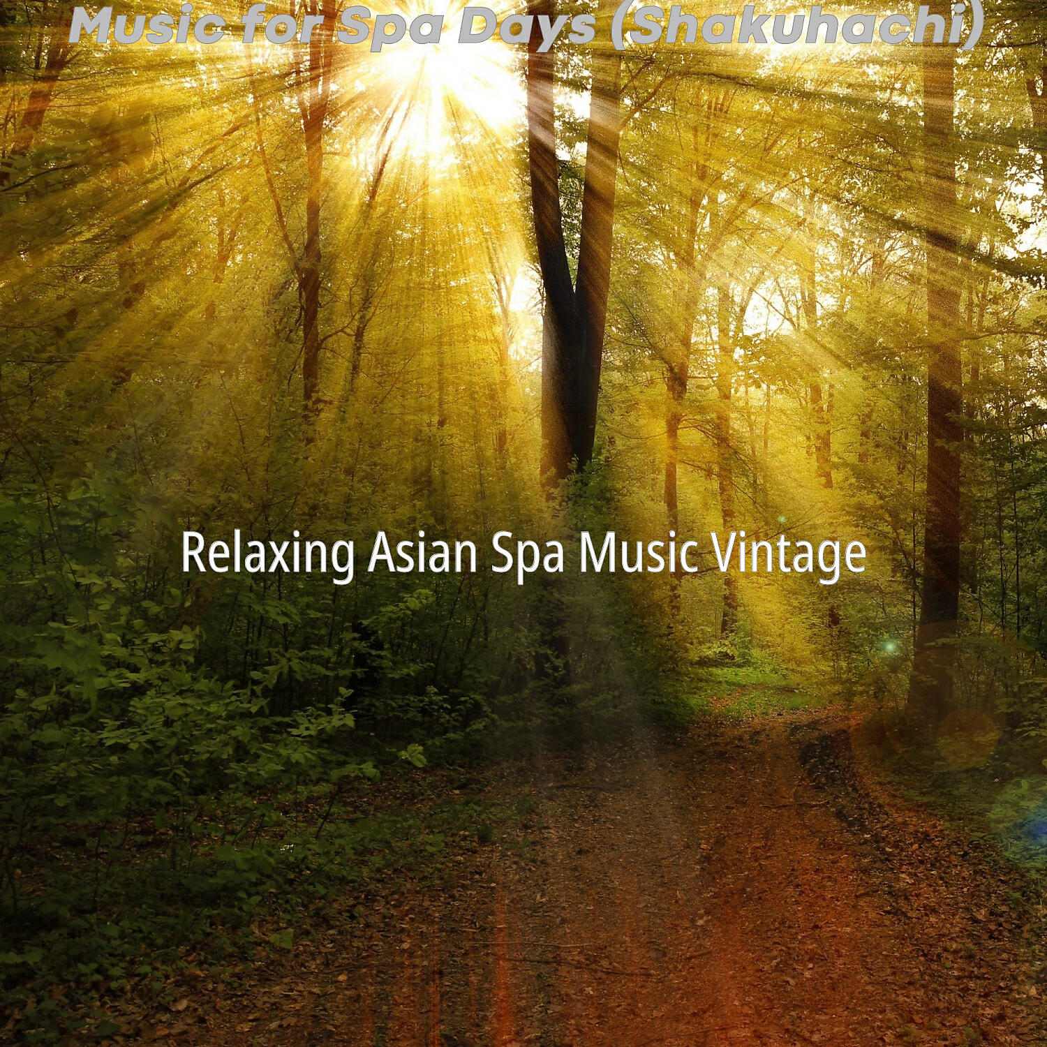 Relaxing Asian Spa Music Vintage - Casual Ambiance for Spa Days