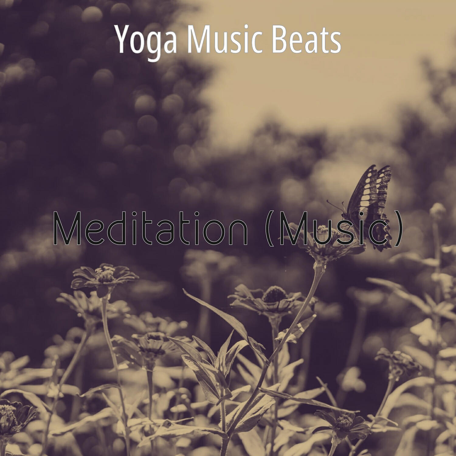 Yoga Music Beats - Ambience - Bikram Yoga