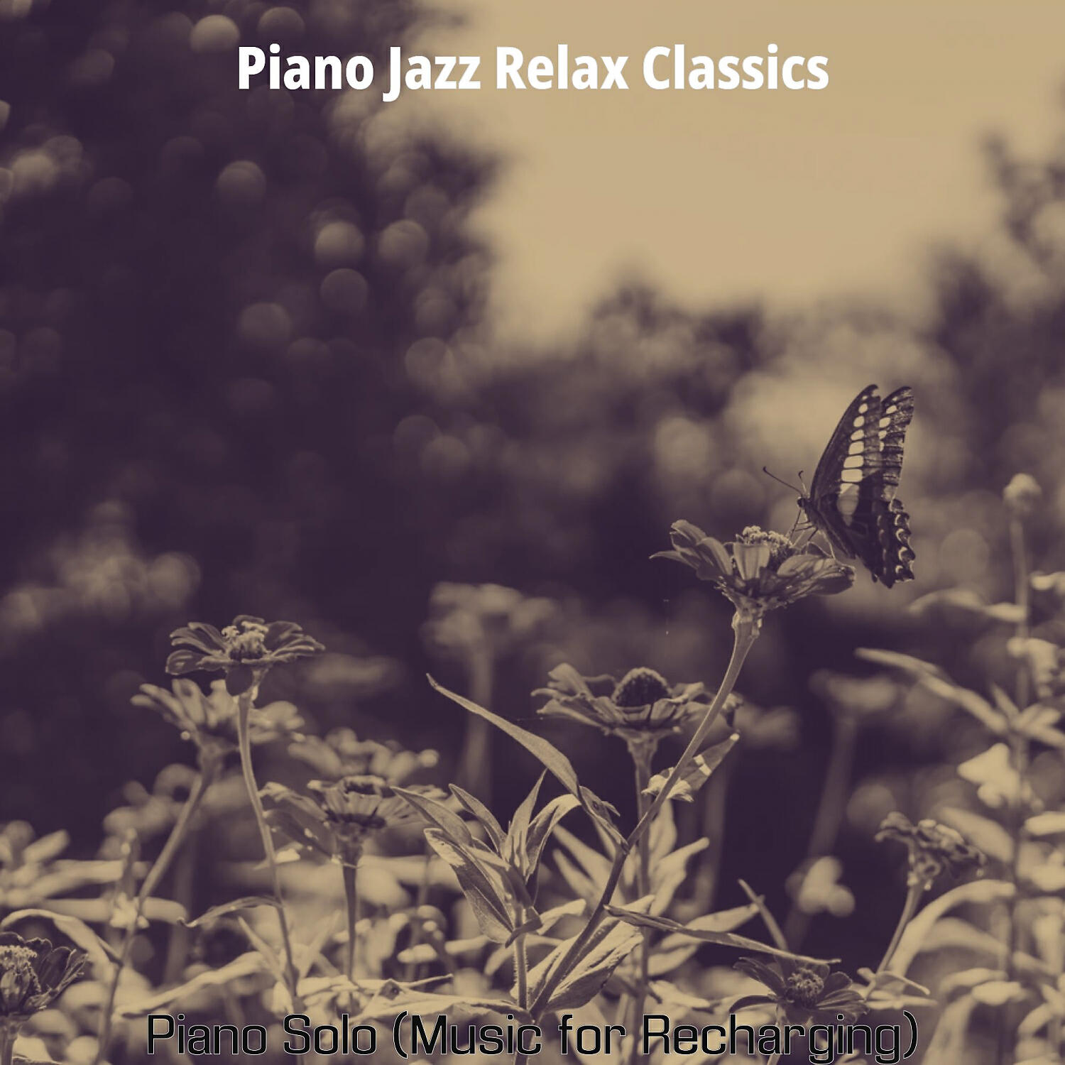 Piano Jazz Relax Classics - Paradise Like Music for Enjoying Holidays