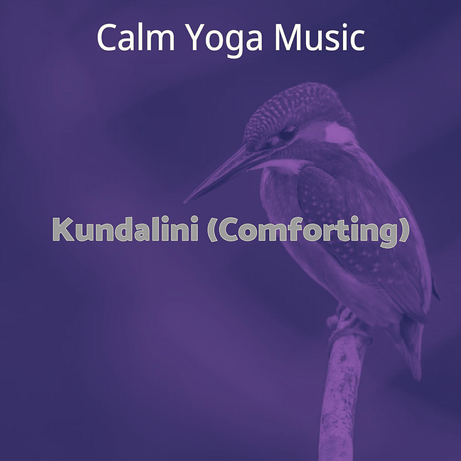 Calm Yoga Music - Music (Bikram Yoga)