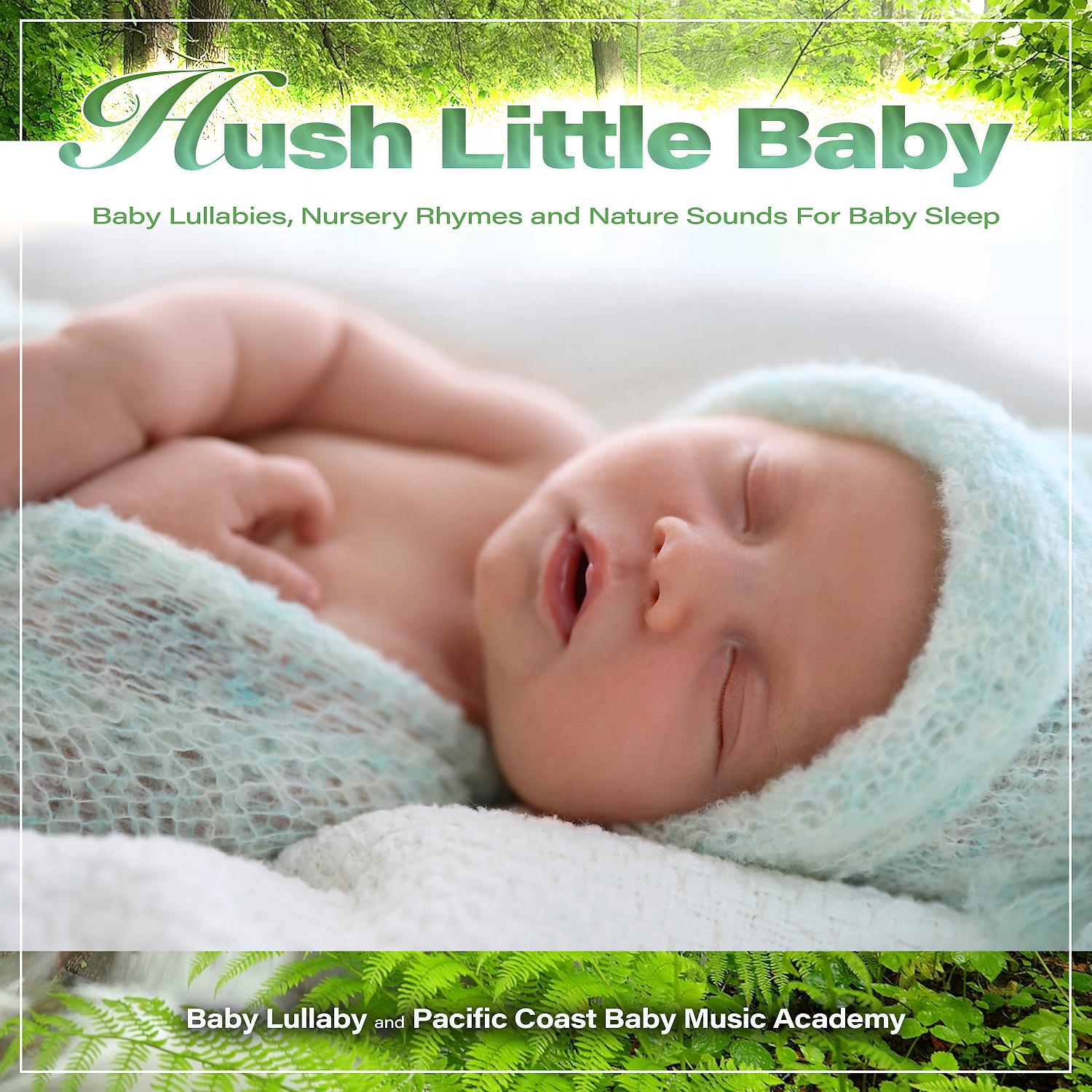 Постер альбома Hush Little Baby: Baby Lullabies, Nursery Rhymes and Nature Sounds For Baby Sleep