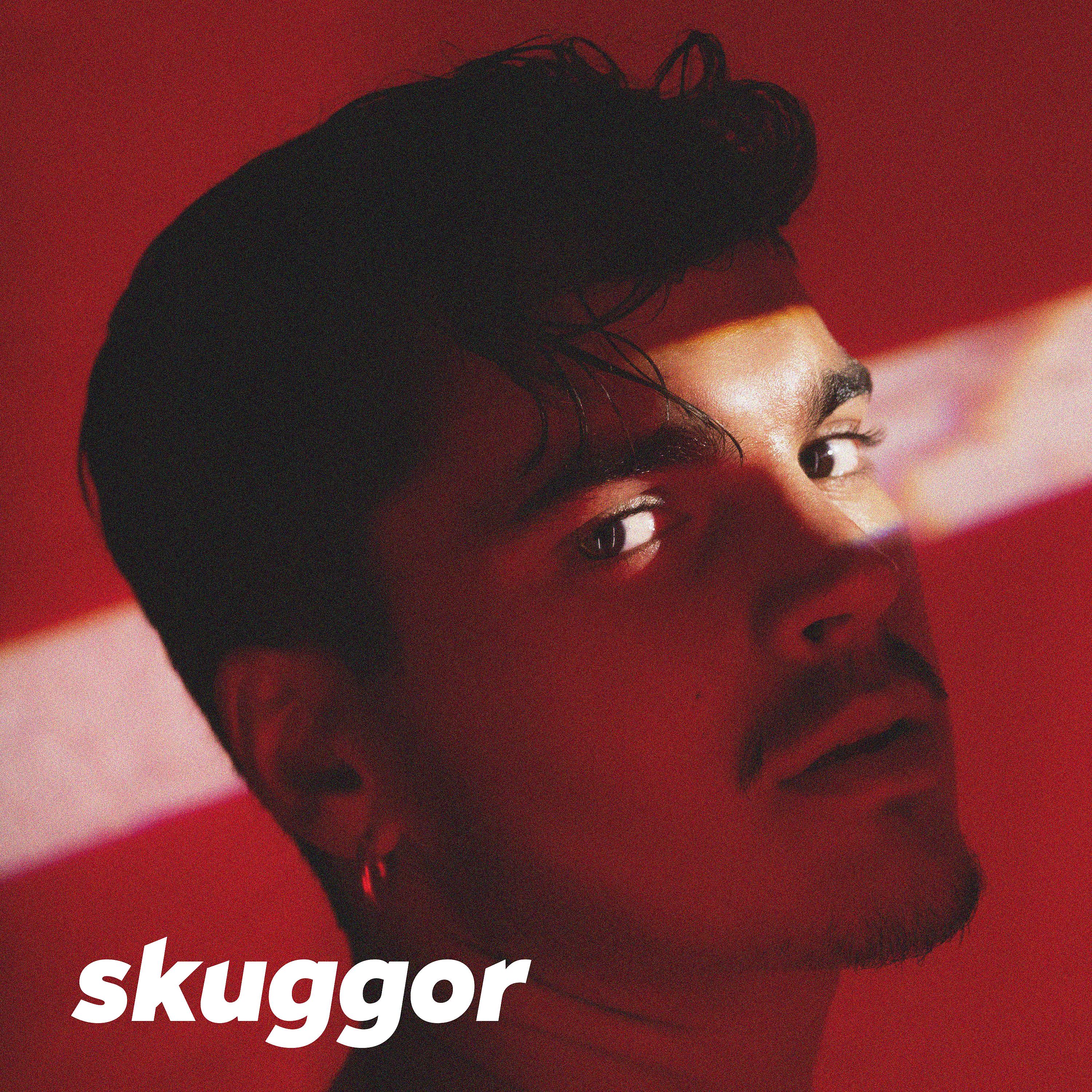 Постер альбома Skuggor