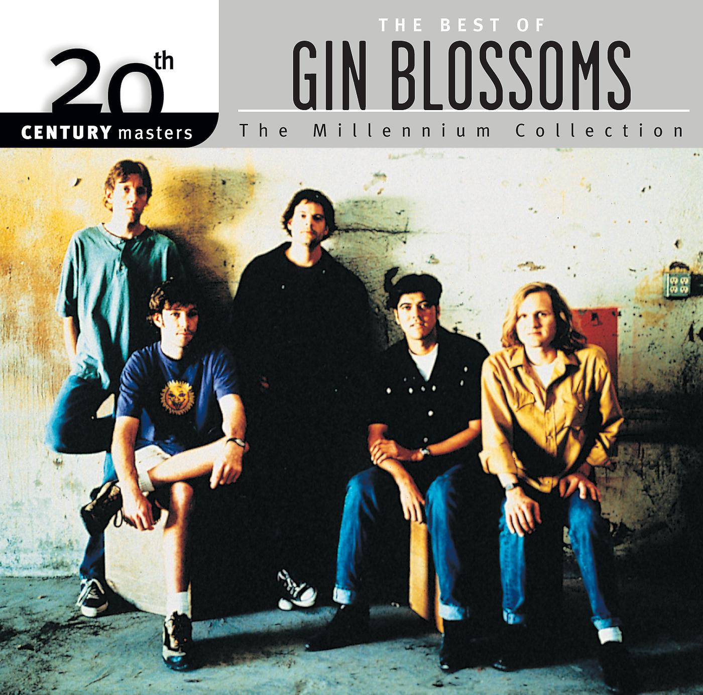 Постер альбома The Best Of Gin Blossoms 20th Century Masters The Millennium Collection