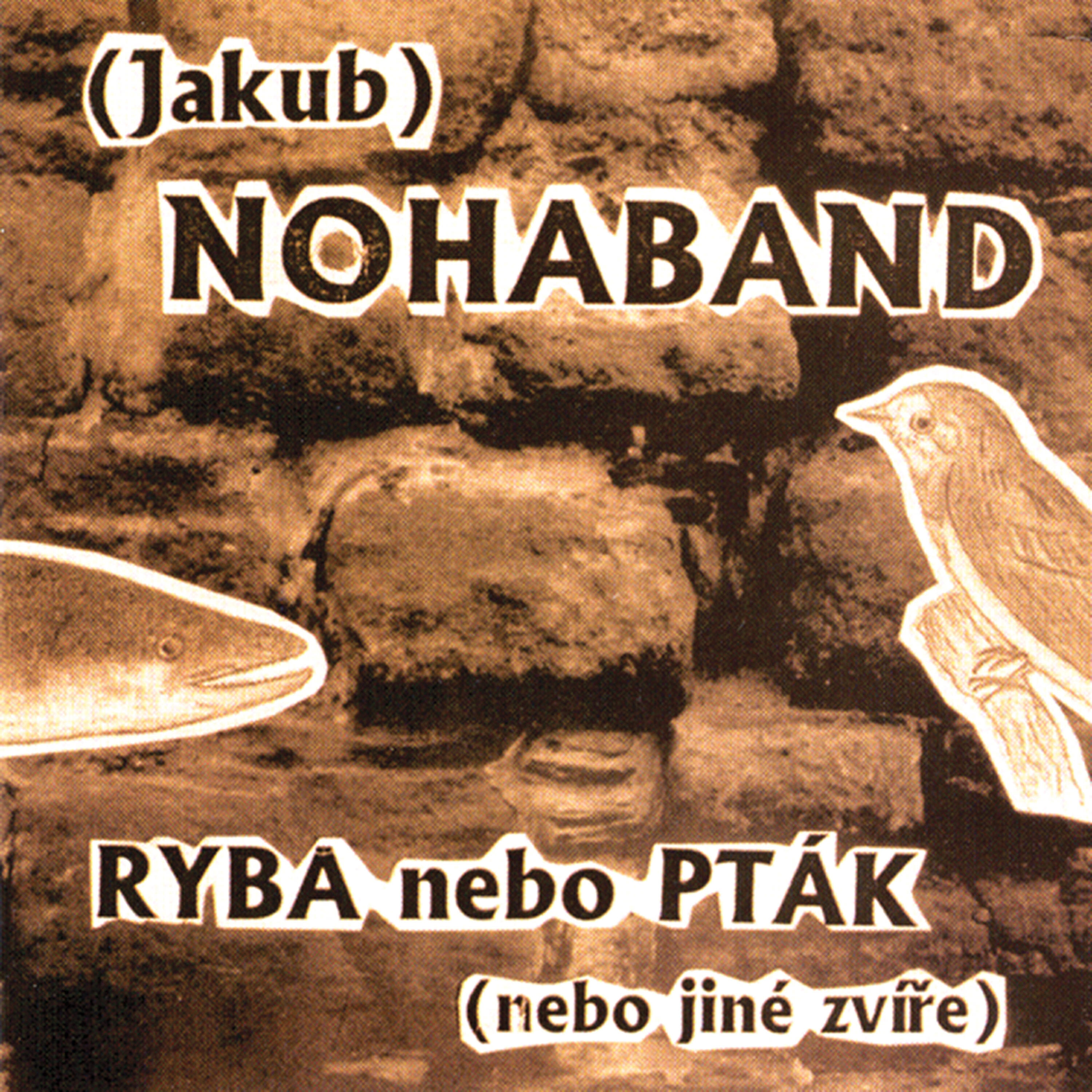 Nohaband - Vlaštovky, myš, kočka, úhoři a koně