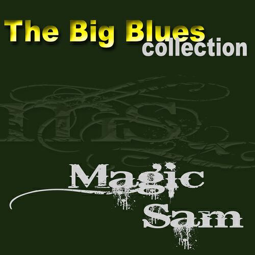 Magic Sam - Love Me This Way