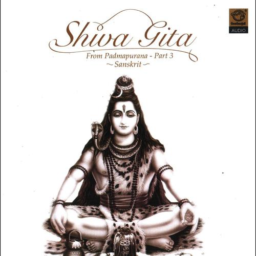 Постер альбома Shiva Gita, Pt. IlI