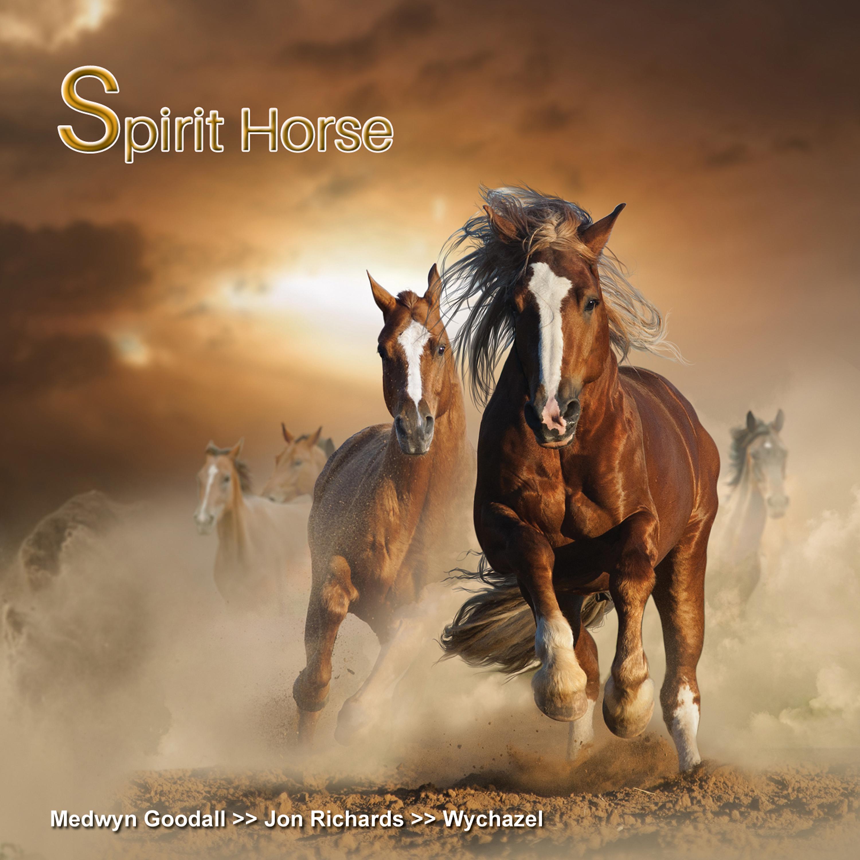 Постер альбома Spirit Horse